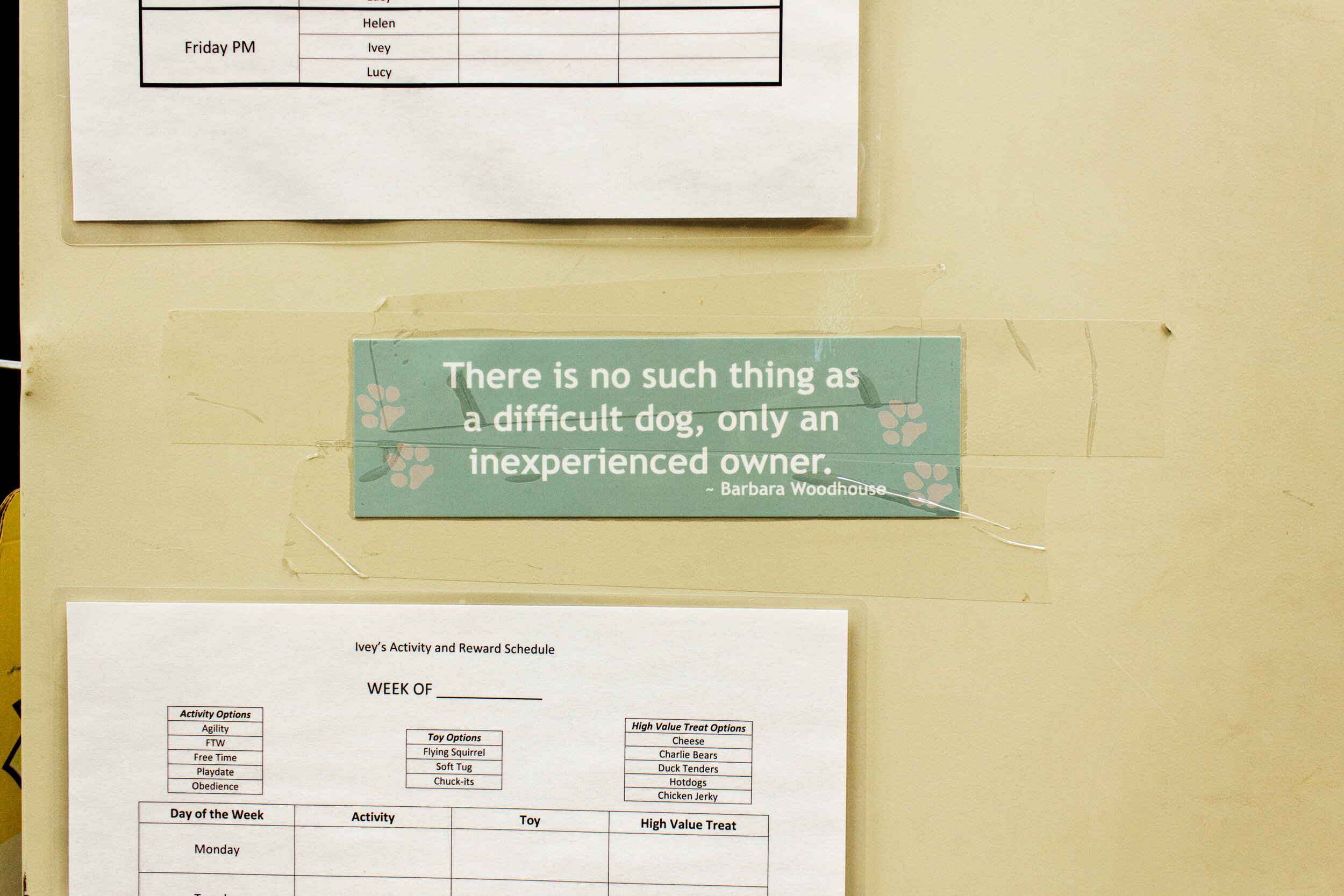  A sign taped to a wall in the center reads “There is no such thing as a difficult dog, only an inexperienced owner.” — Barbara Woodhouse 