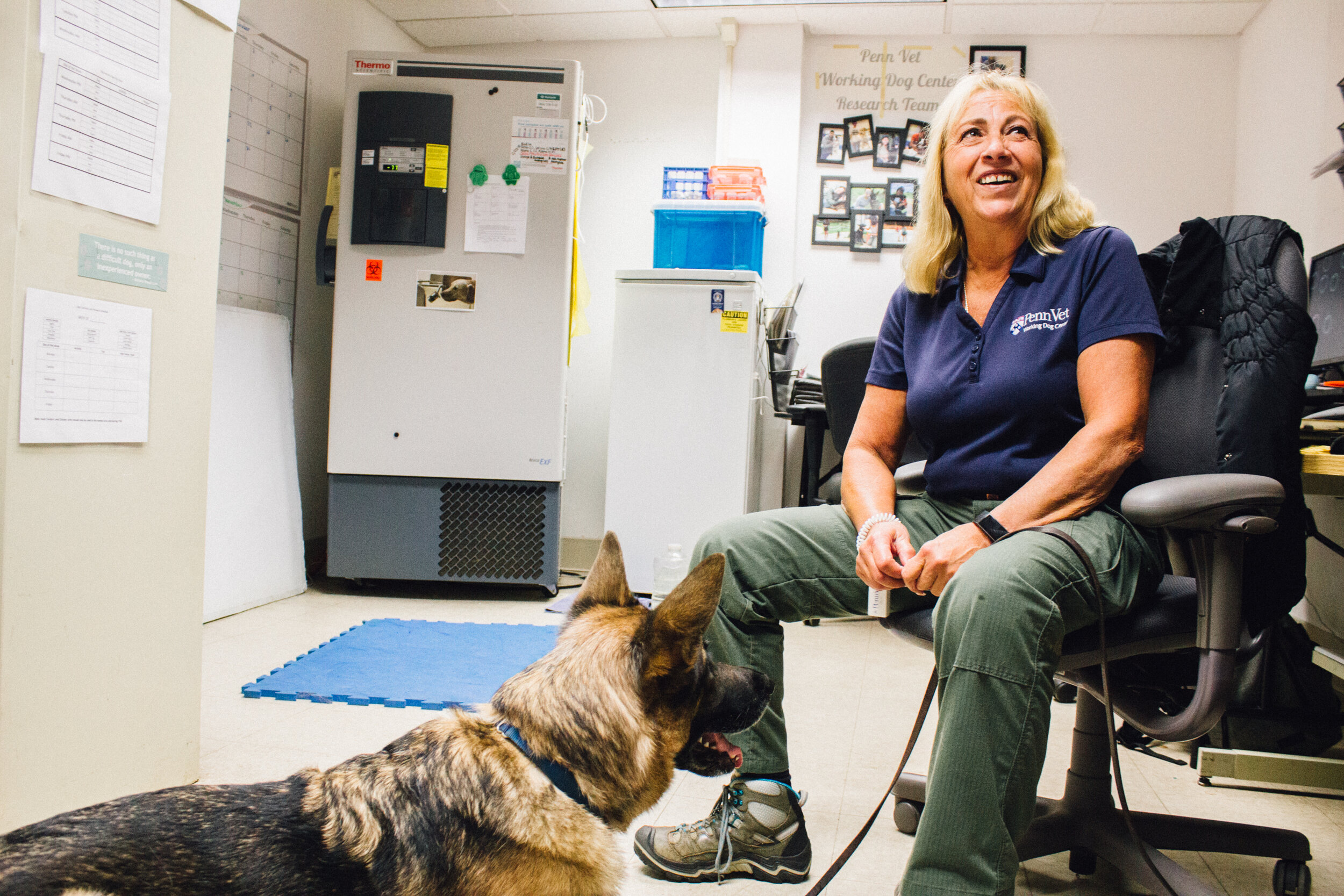  A trainer at the Working Dog Center sits in a chair next to Ivey, who looks up with alert ears up. 