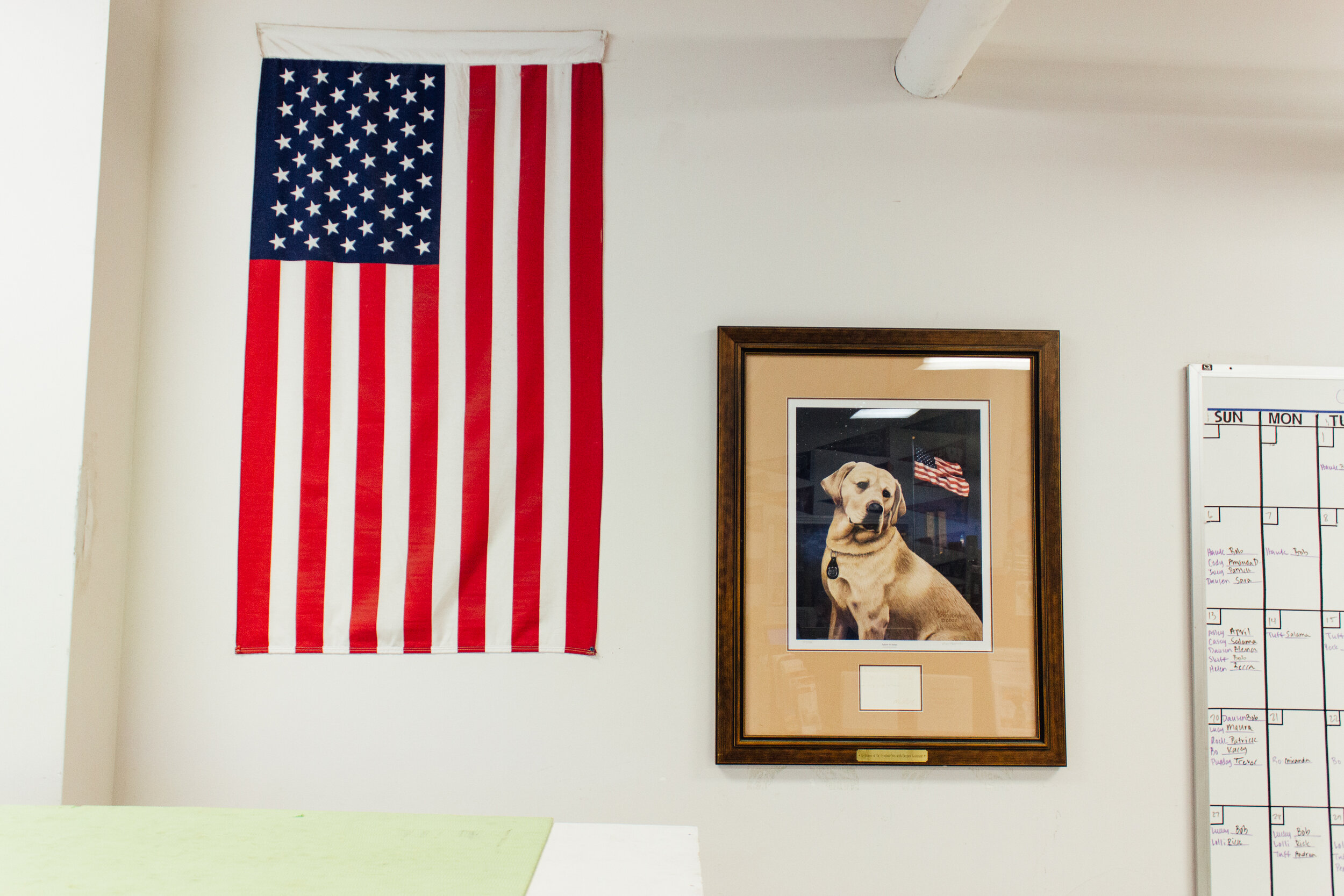  A portrait of a dog hangs on the wall next to the American flag. 