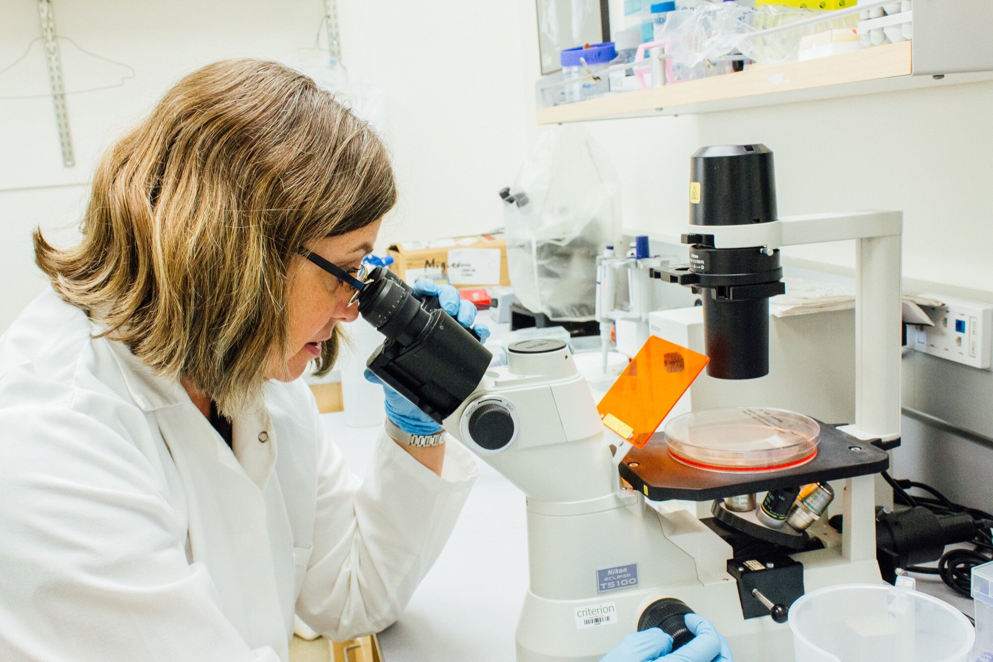  A woman wearing a lab coat and gloves looks through a microscope in a lab. 