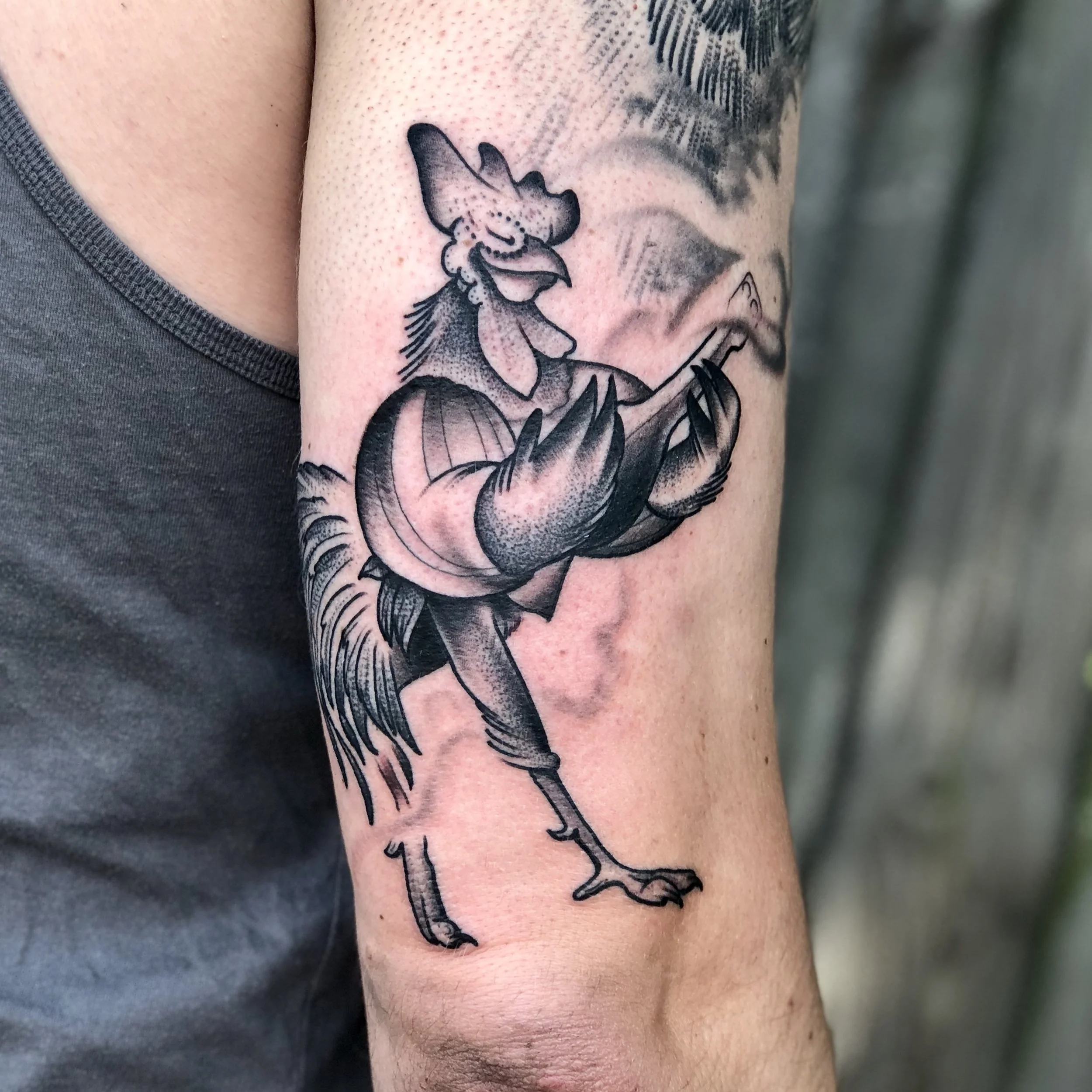 RobinRooster.jpg
