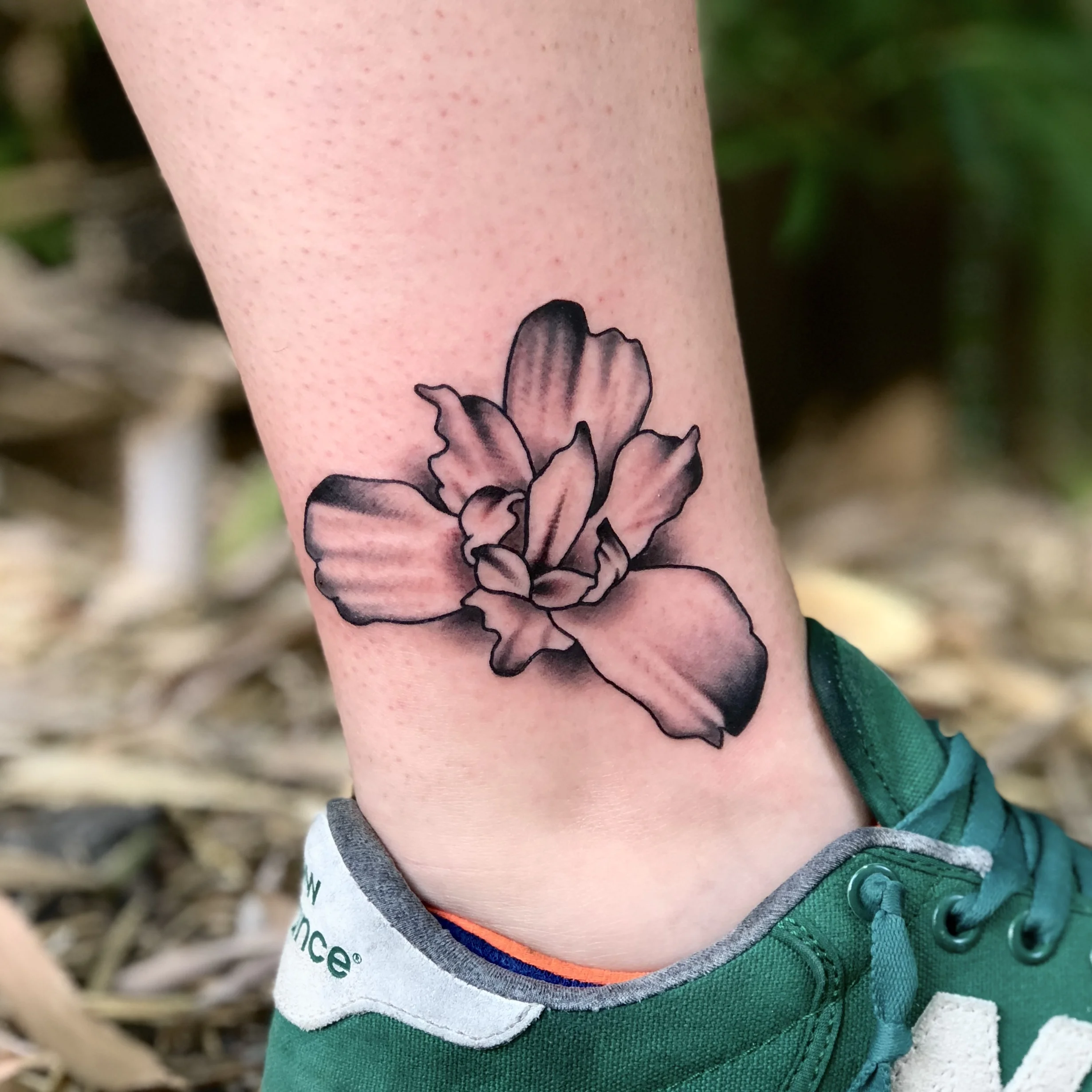 LOTUS.jpg