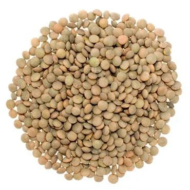 Organic Lentils
