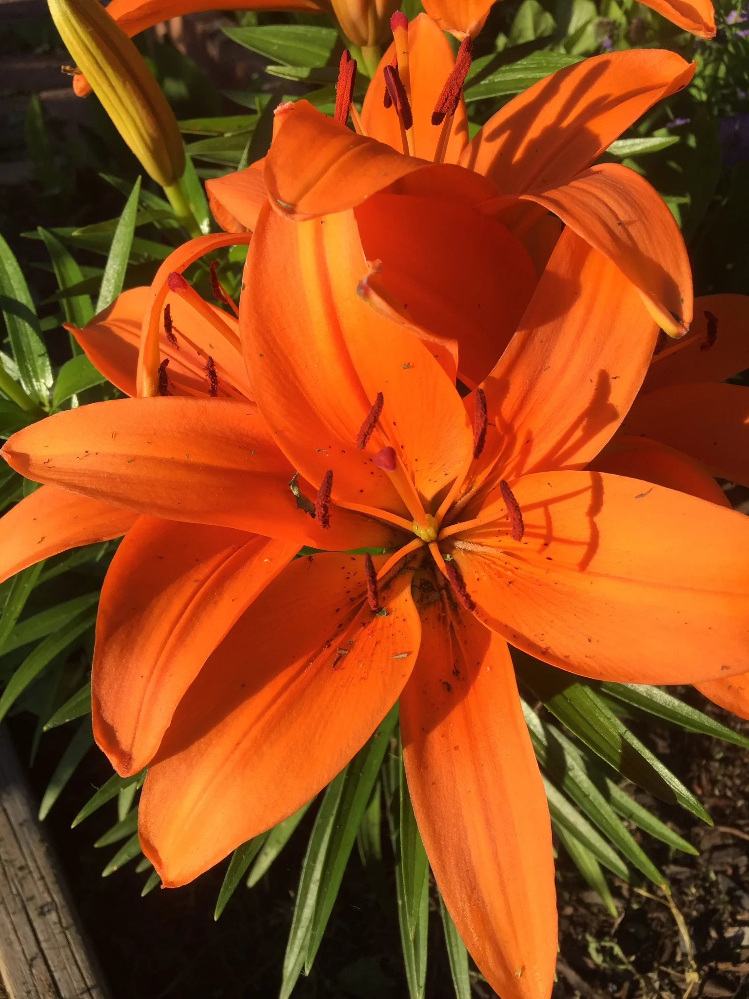 Valuable but not Important