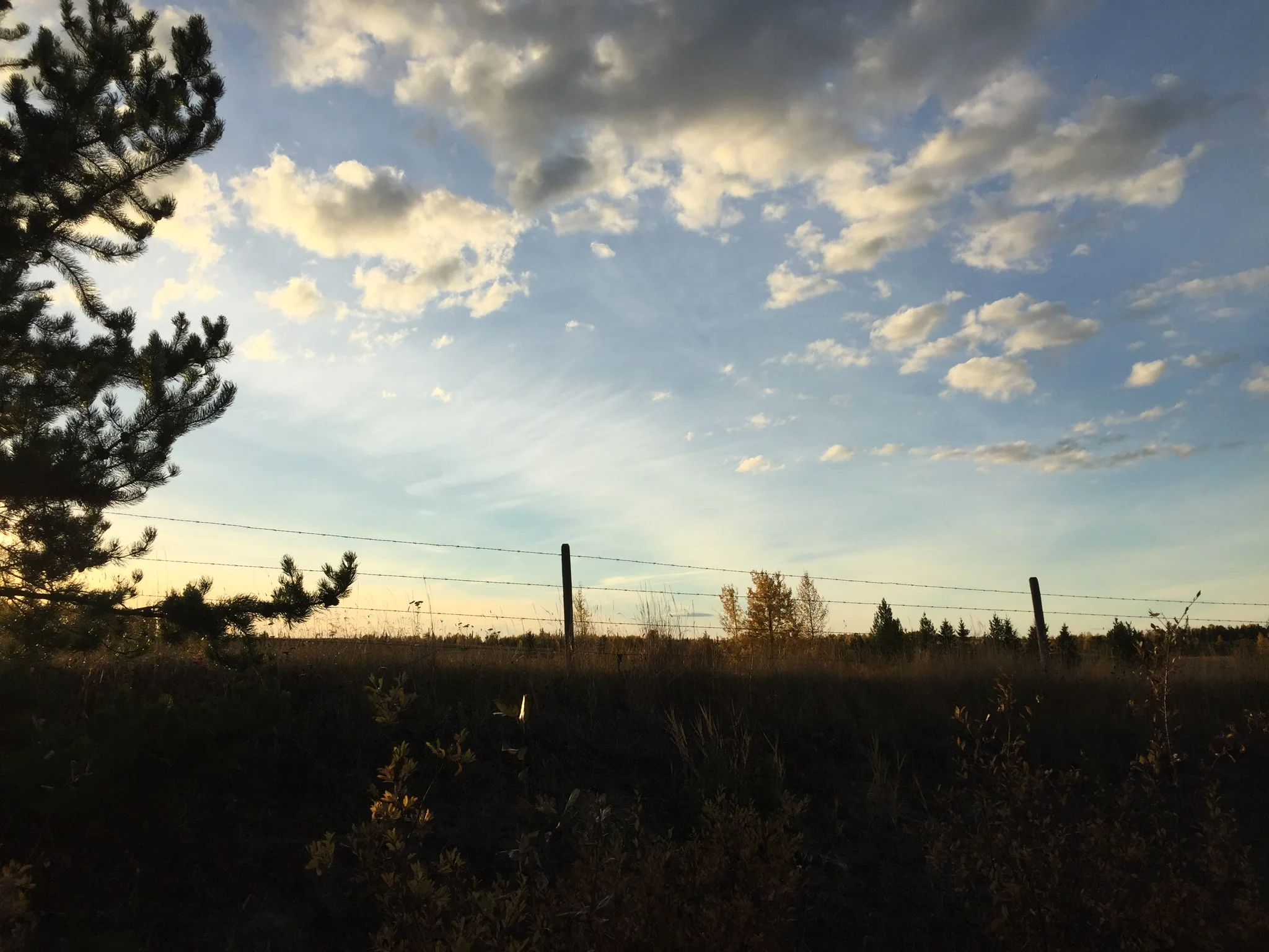 Got Me Some New Eyes