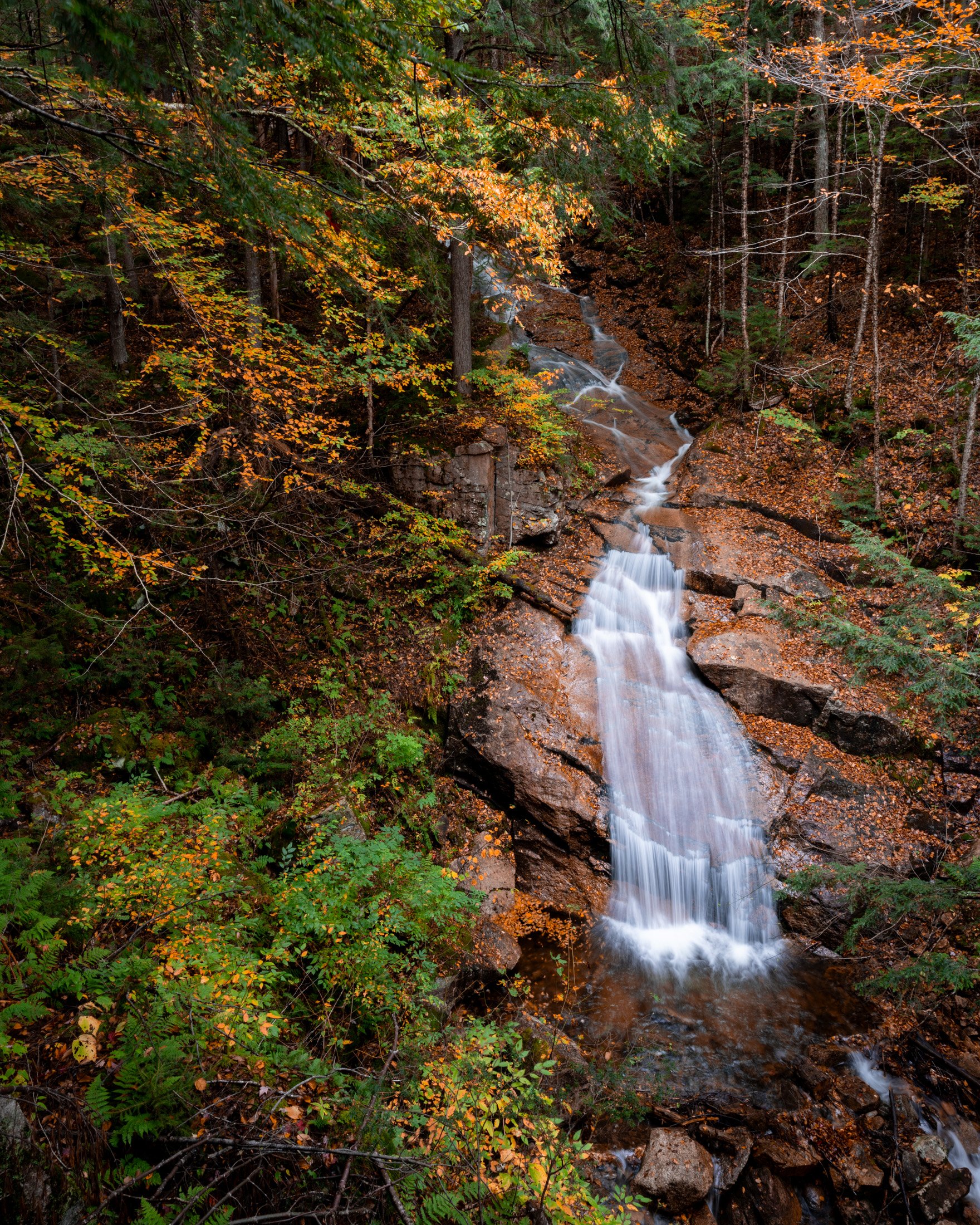 Autumn Cascade
