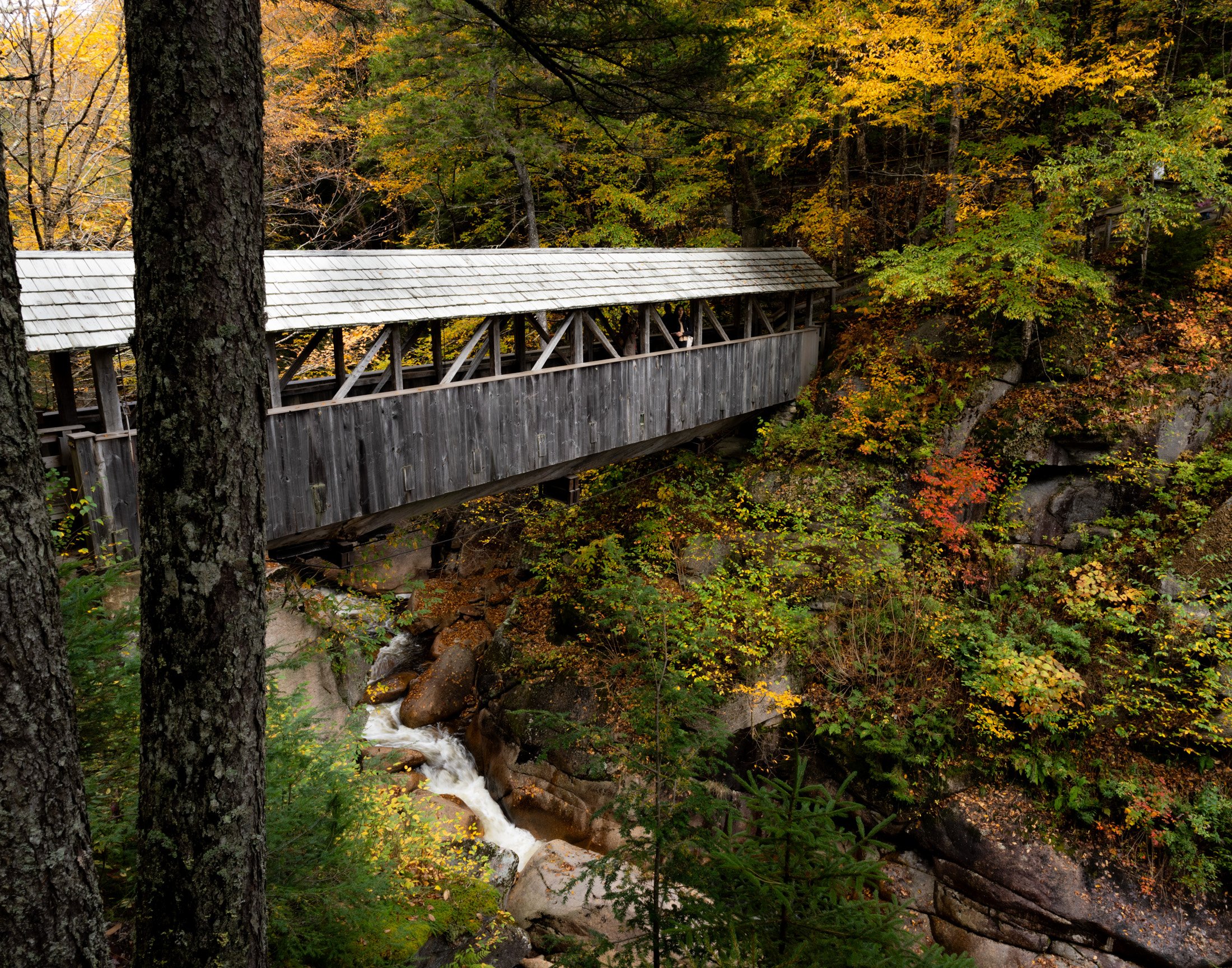 Pedestrian Bridge, Flume Gorge Trail