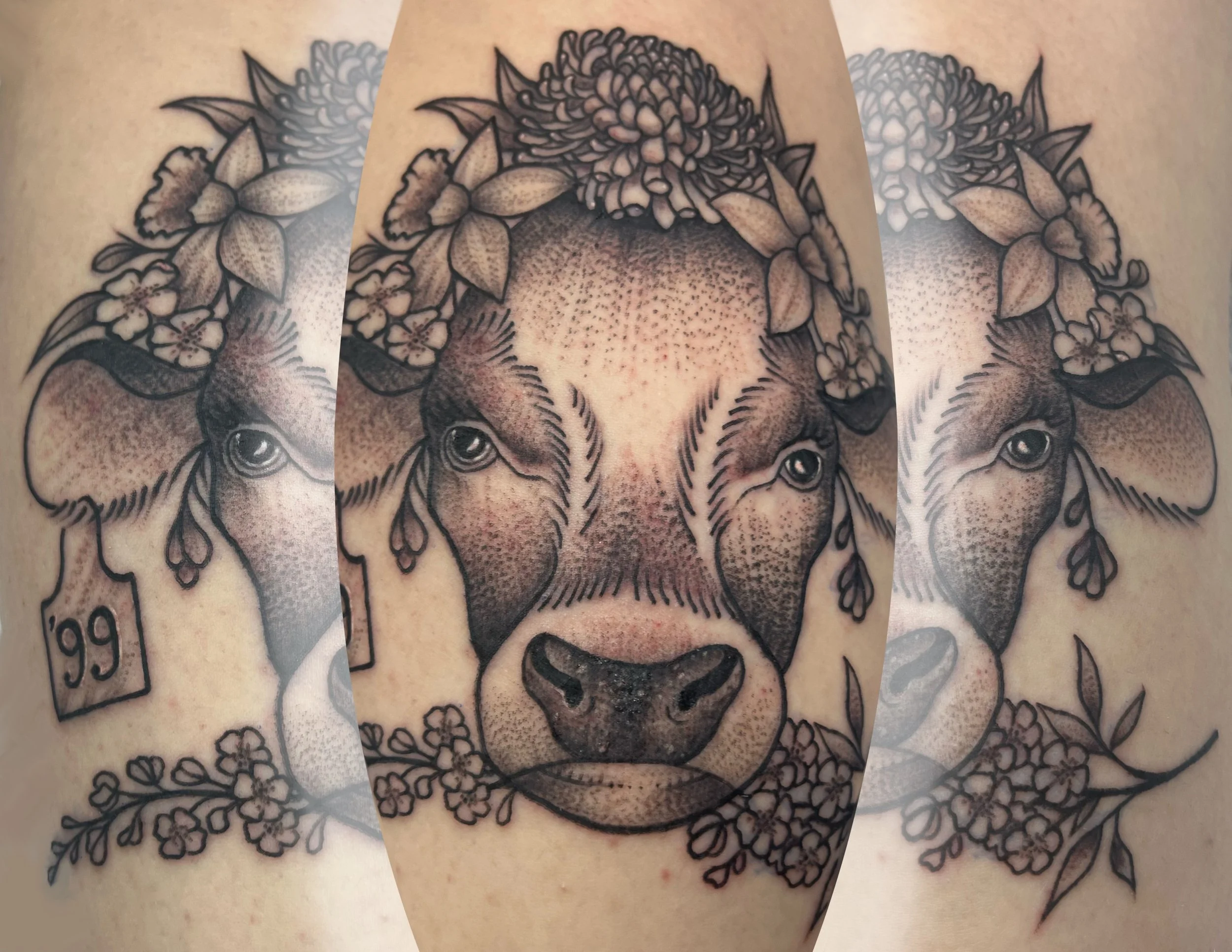 Untitled_Artwork 22.jpeg