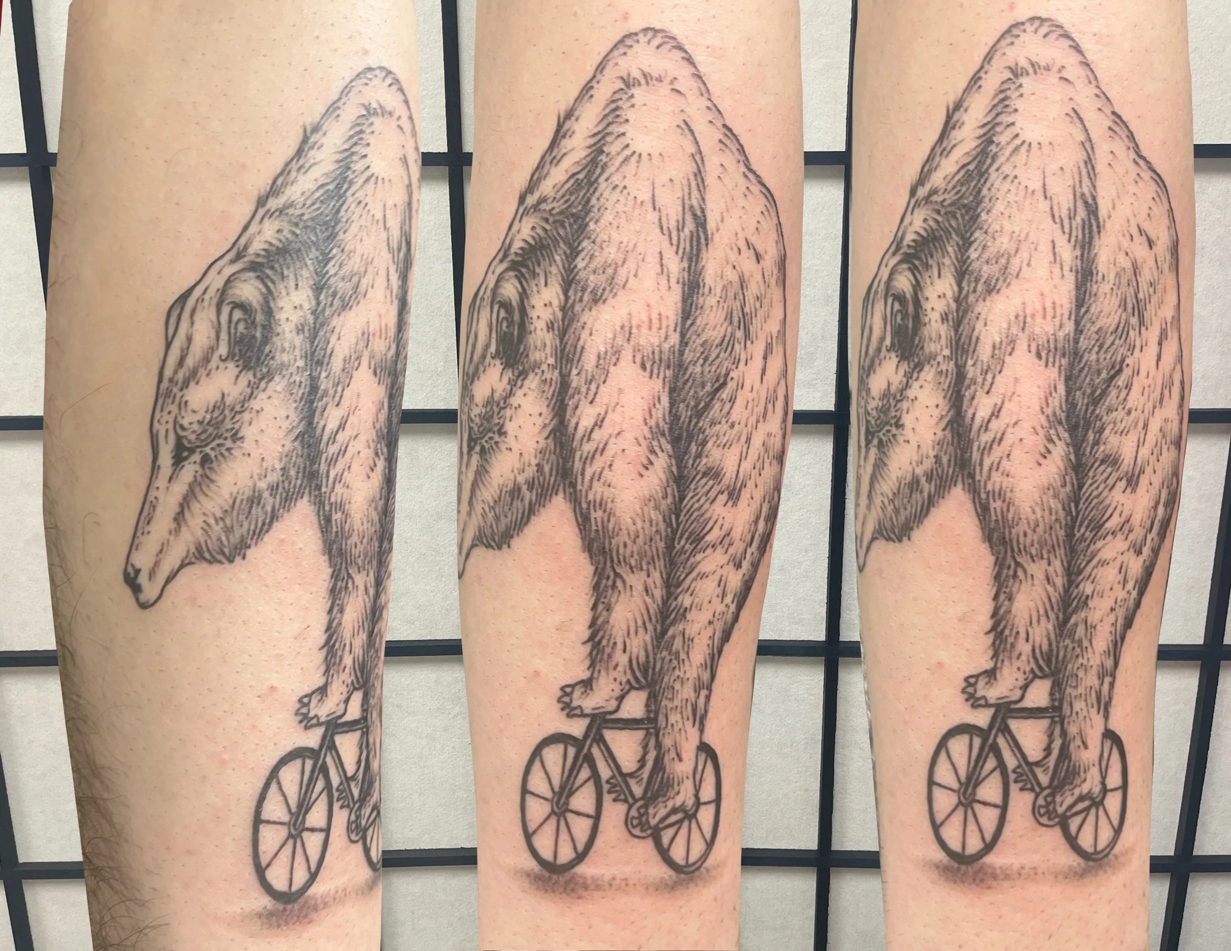 Untitled_Artwork 24.jpeg