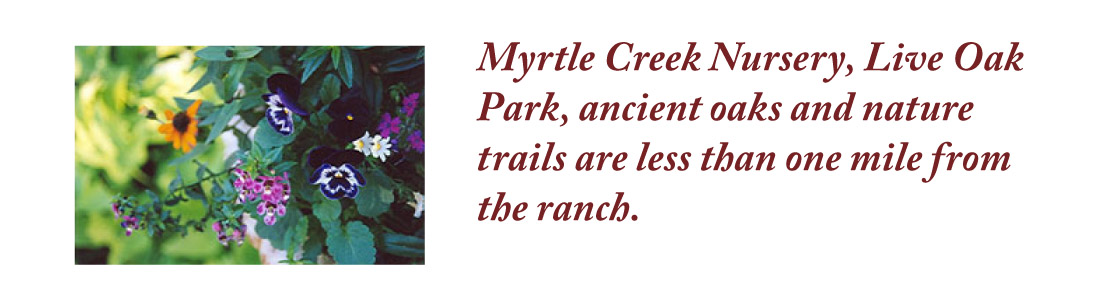 myrtlecreek2.jpg