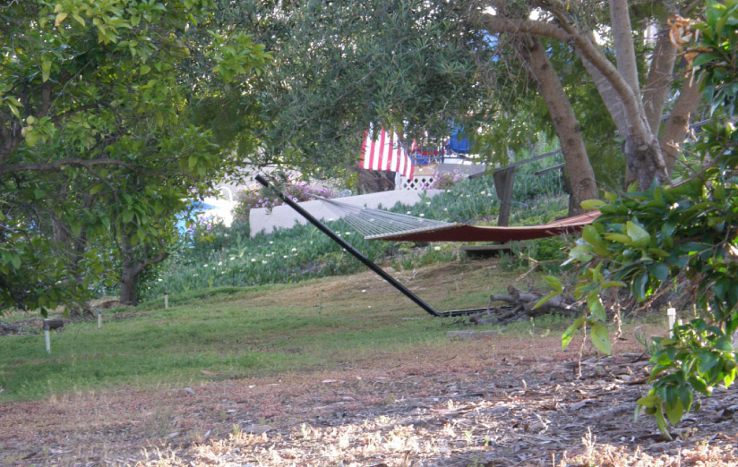 One of two hammocks