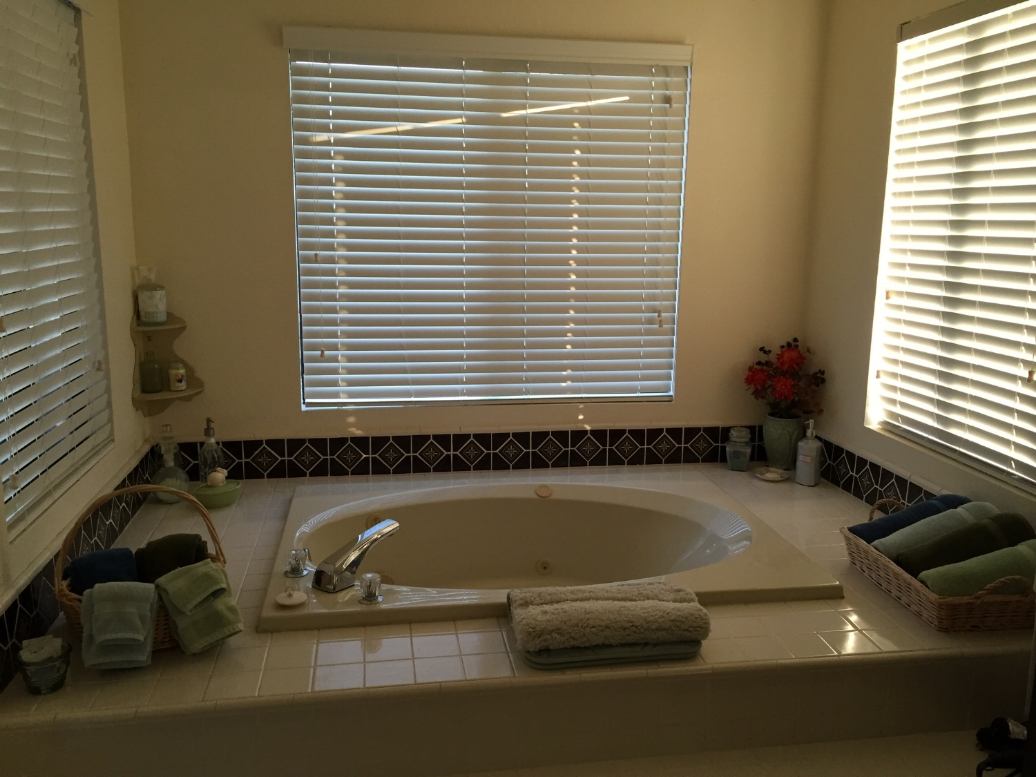 Jacuzzi Tub in Master Bath