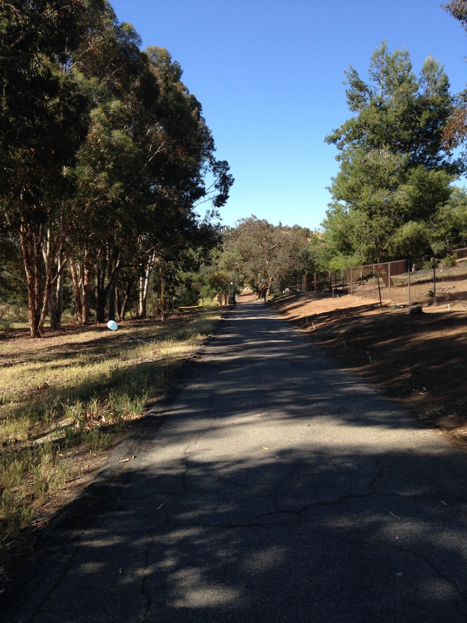 Drive to main entrance