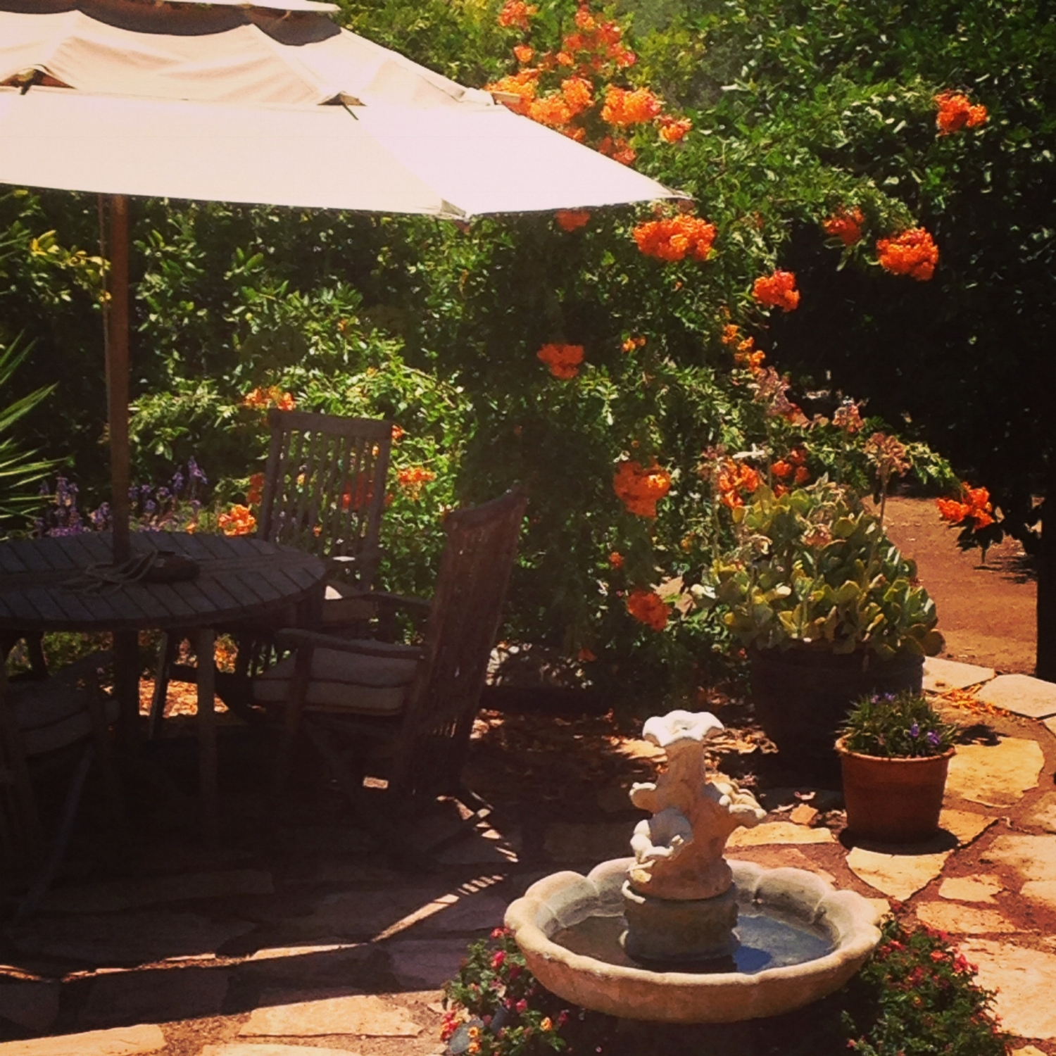 Main patio and fountain