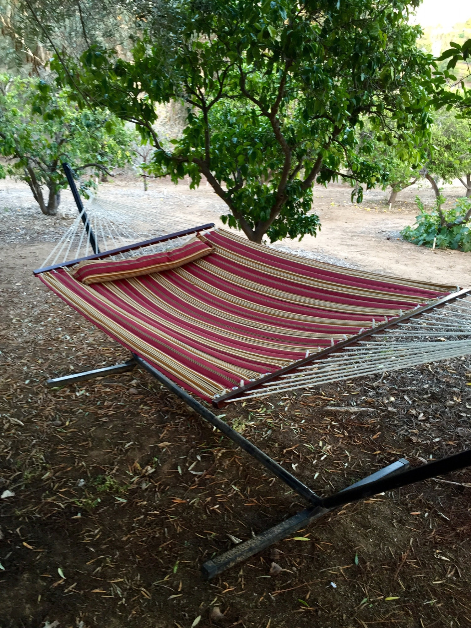 Hammock in the grotto