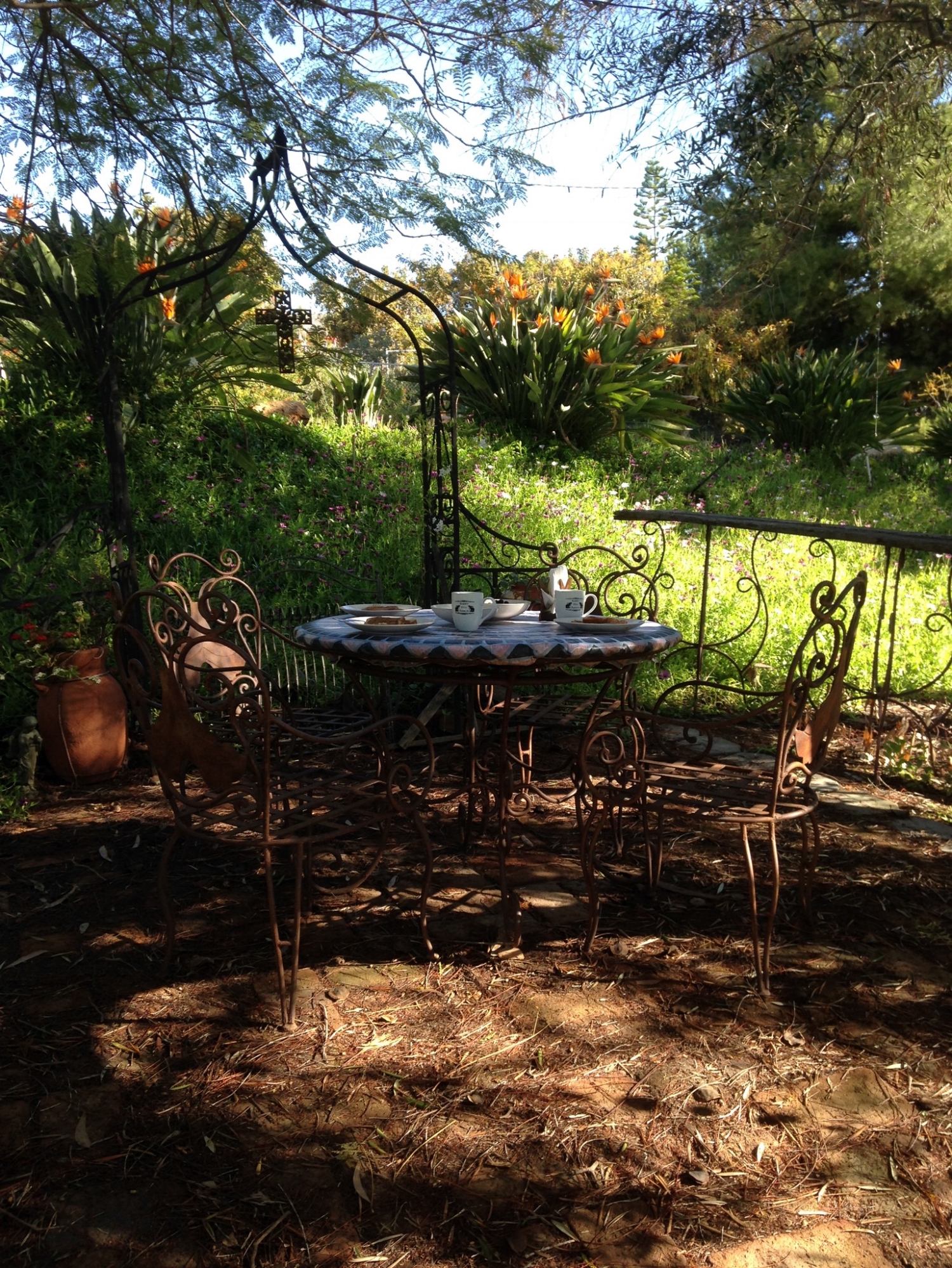 Breakfast in the grotto