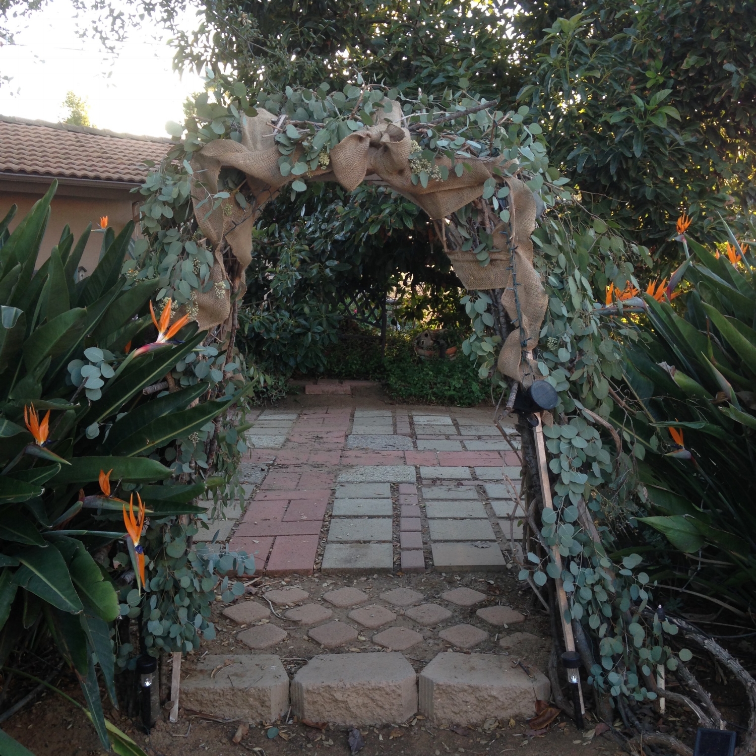 Arch by the Oak and Avacado