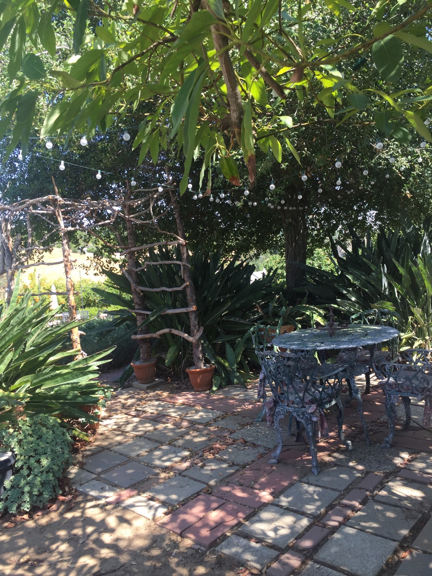 Cottage patio with lights