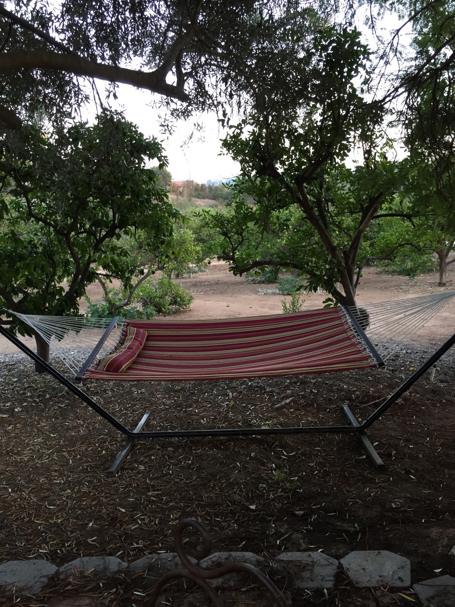 Hammock view