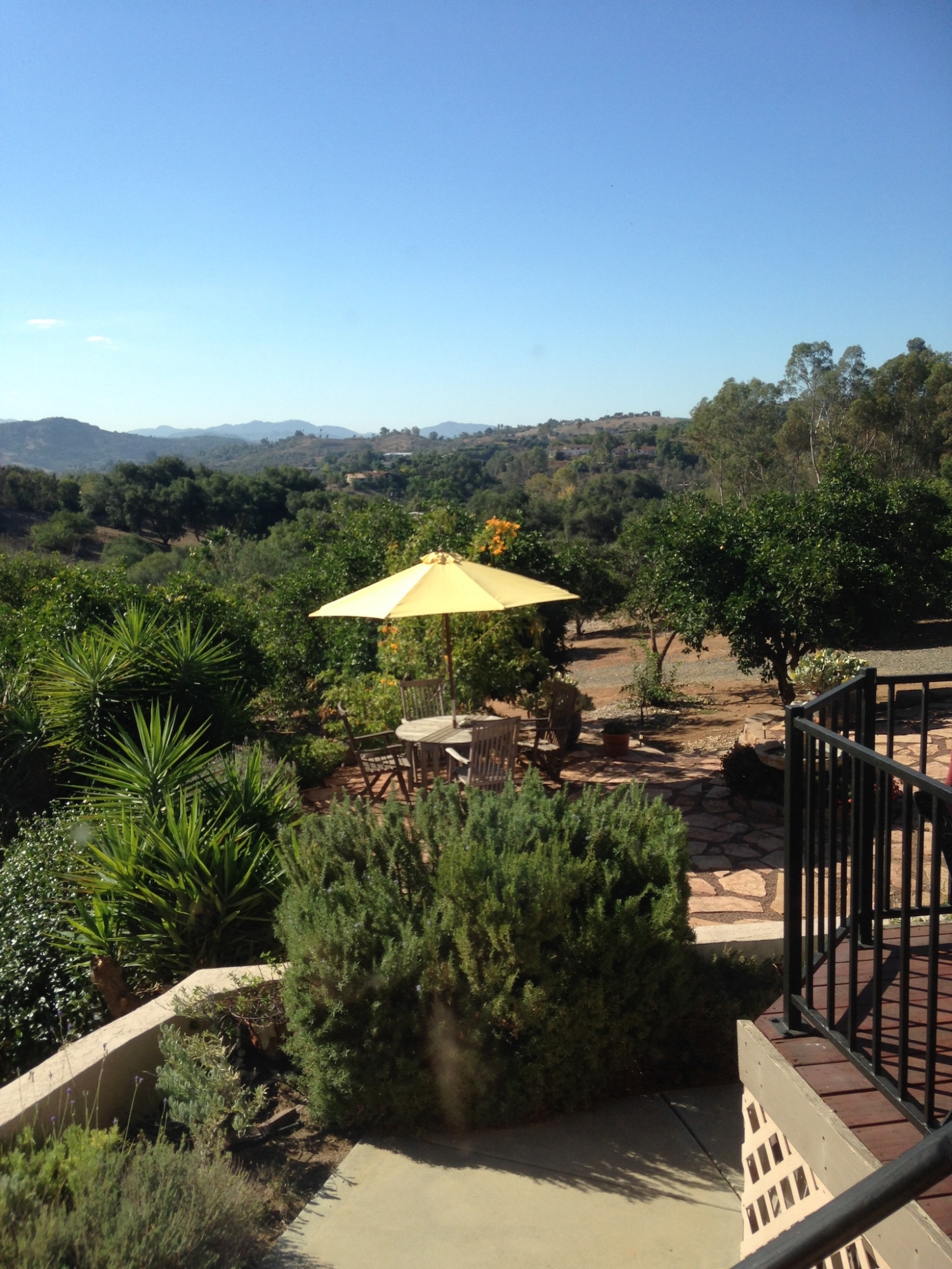 Have some coffee on the deck and enjoy the view.