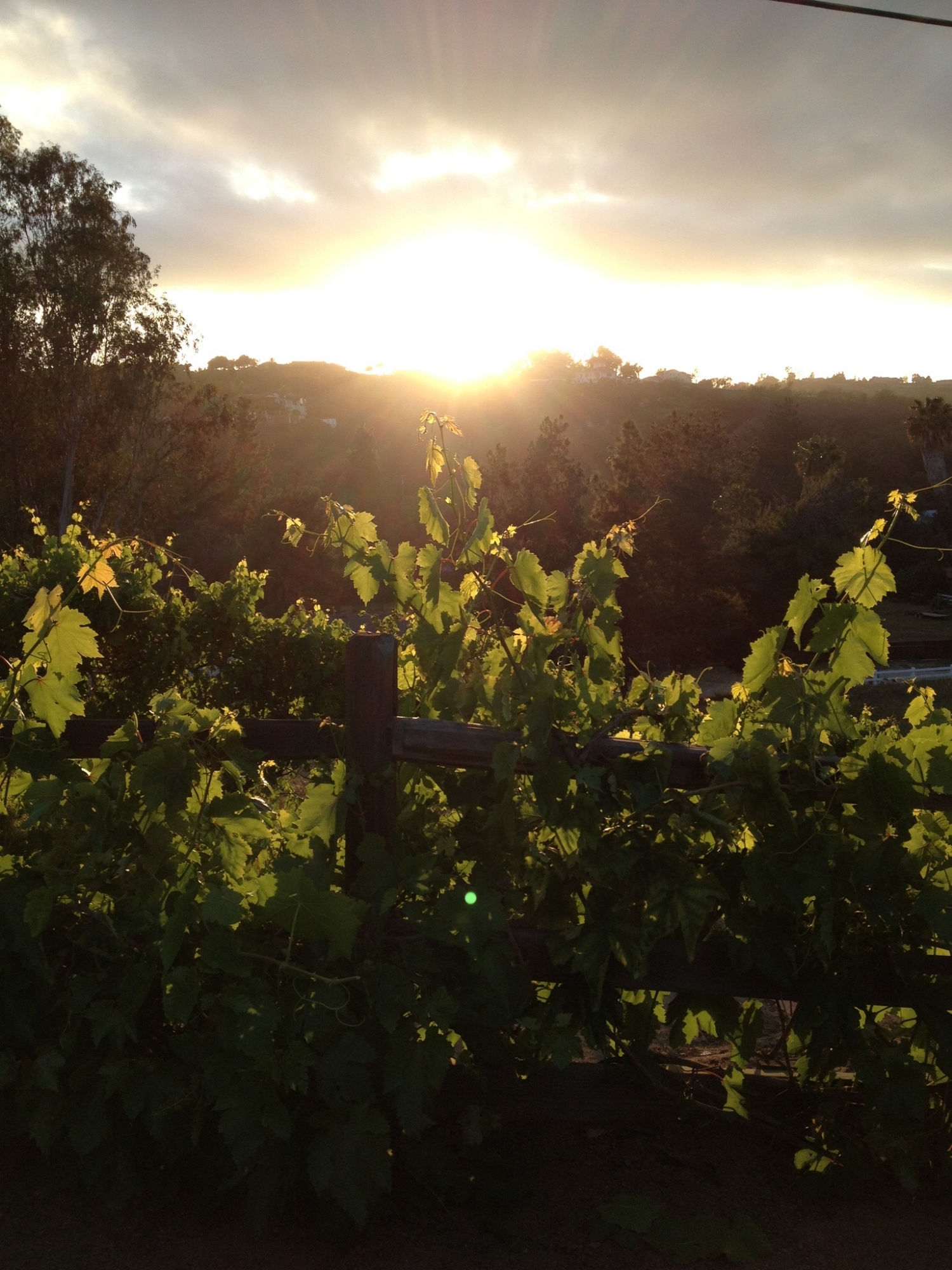Sunsets are beautiful at RHR all year long.