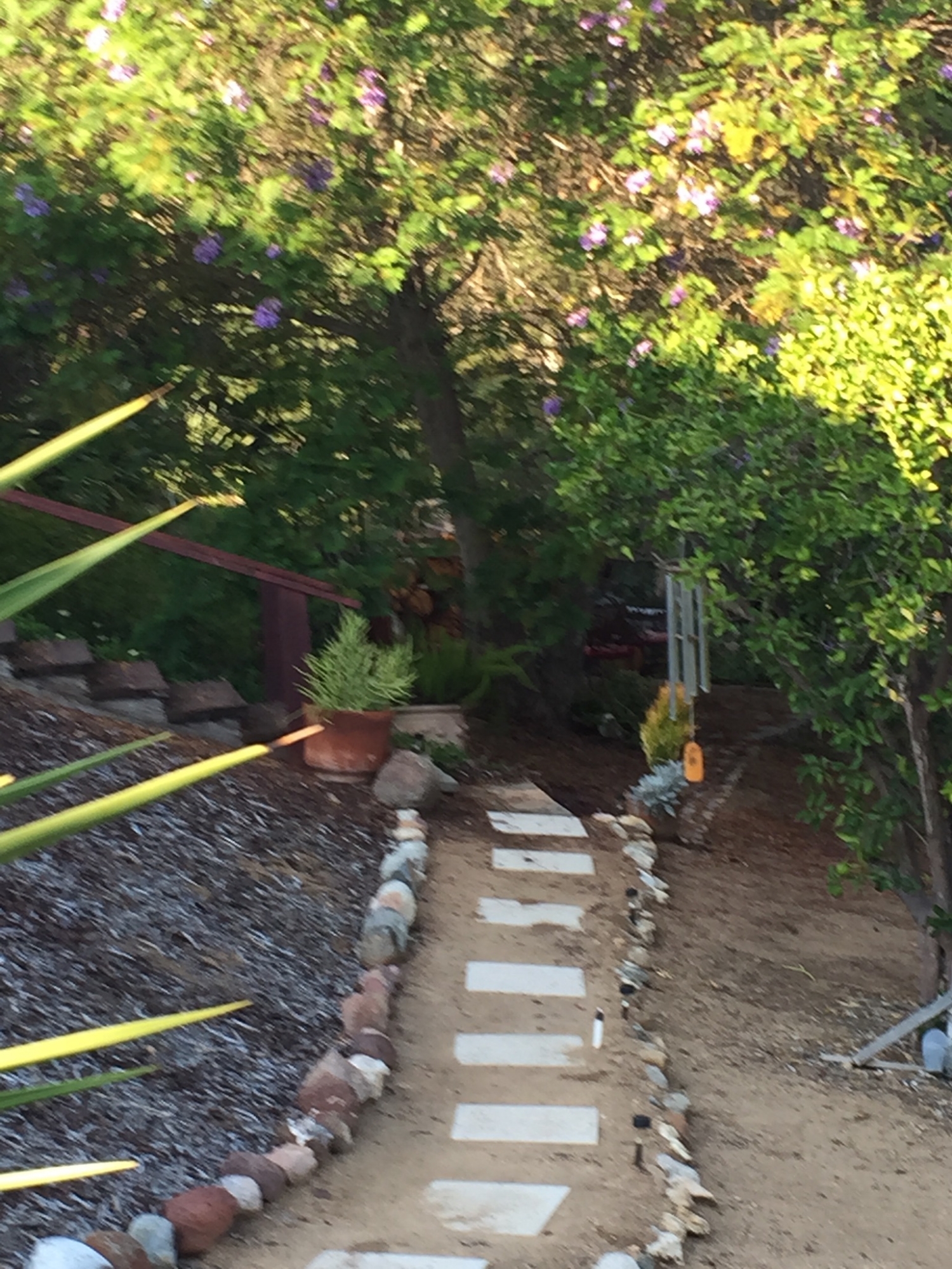 Path to the grotto in the afternoon.