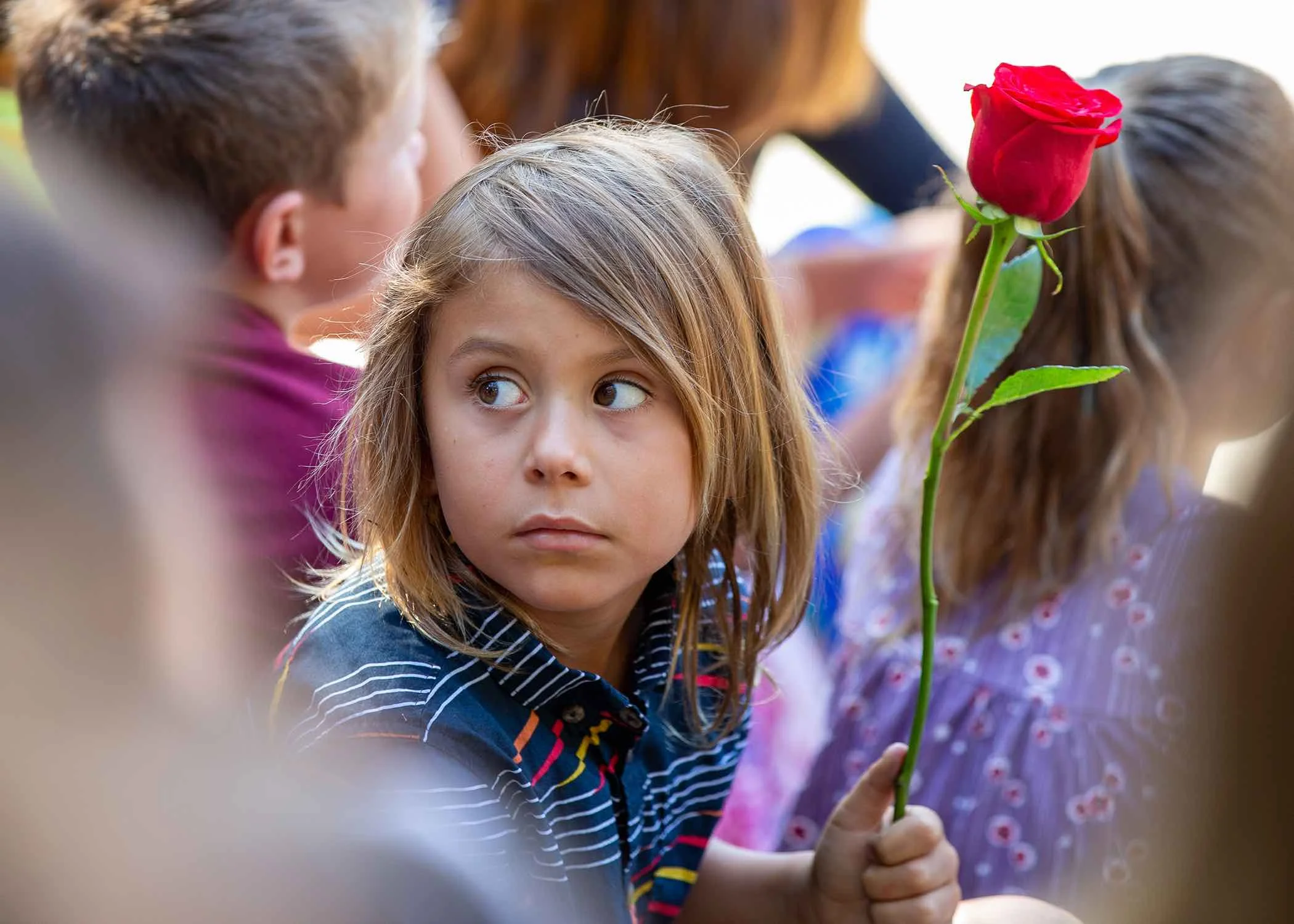 9-4-19 Rose 0260.jpg