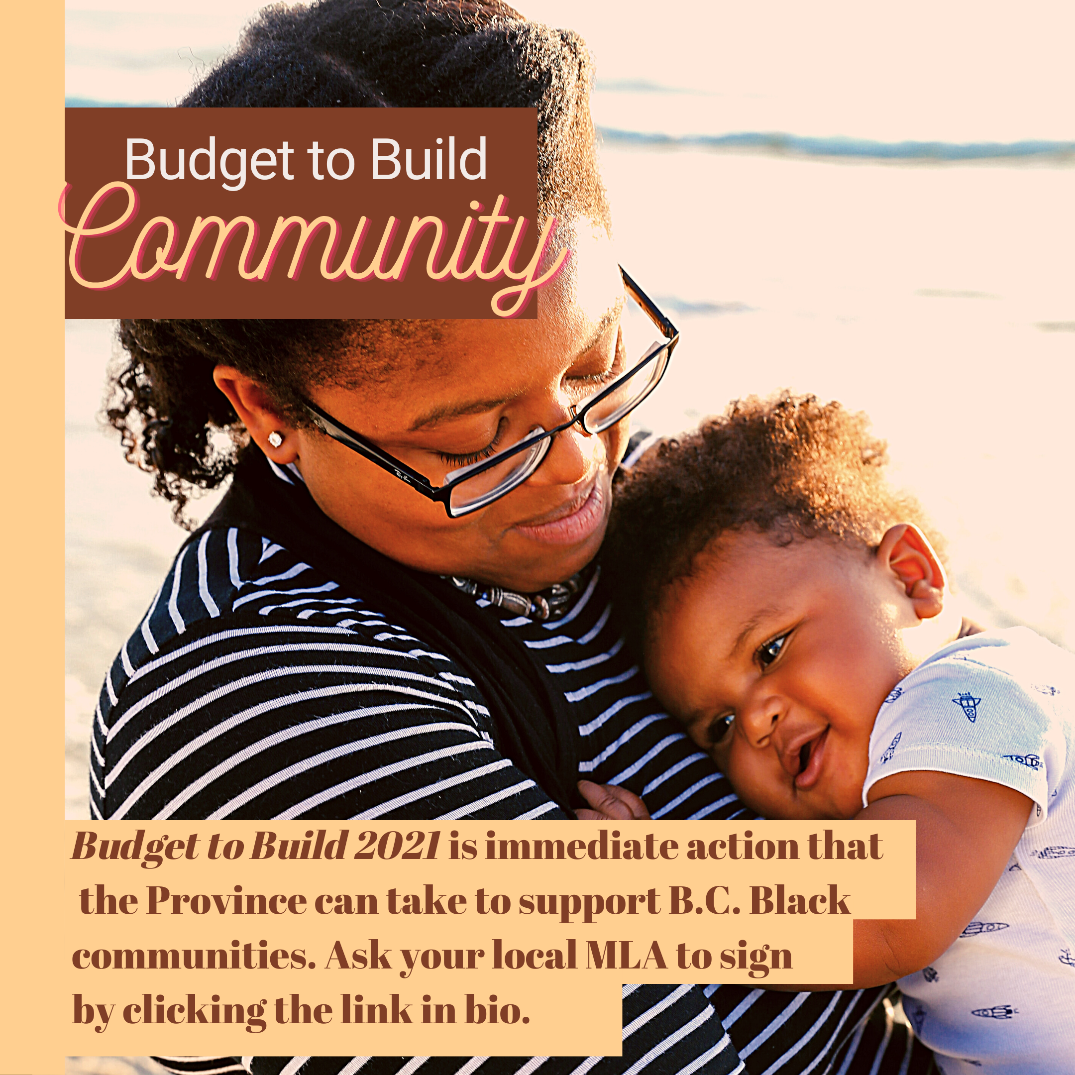 Budget to Build 2021 project