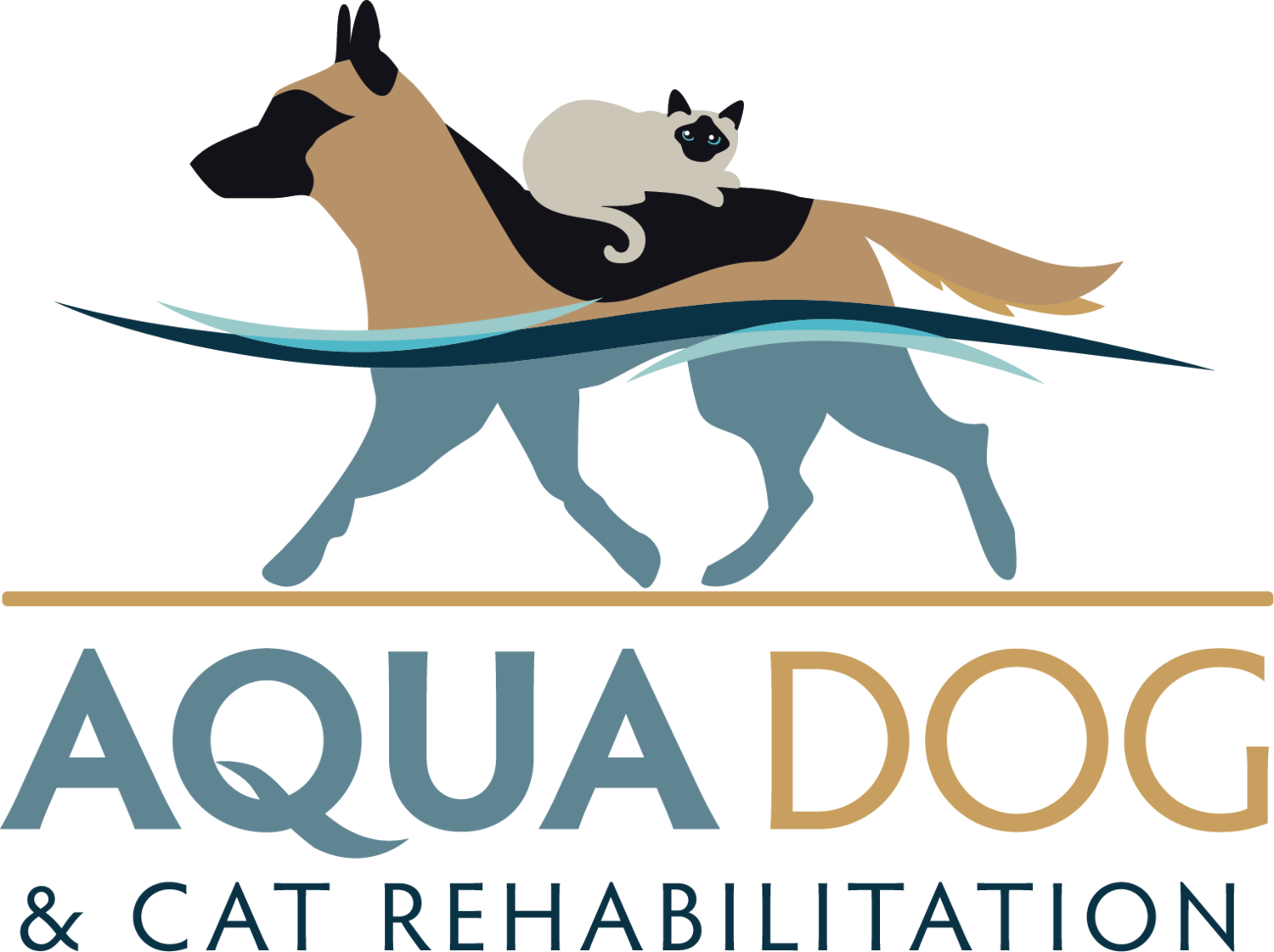 Aqua Dog and Cat Rehabilitation