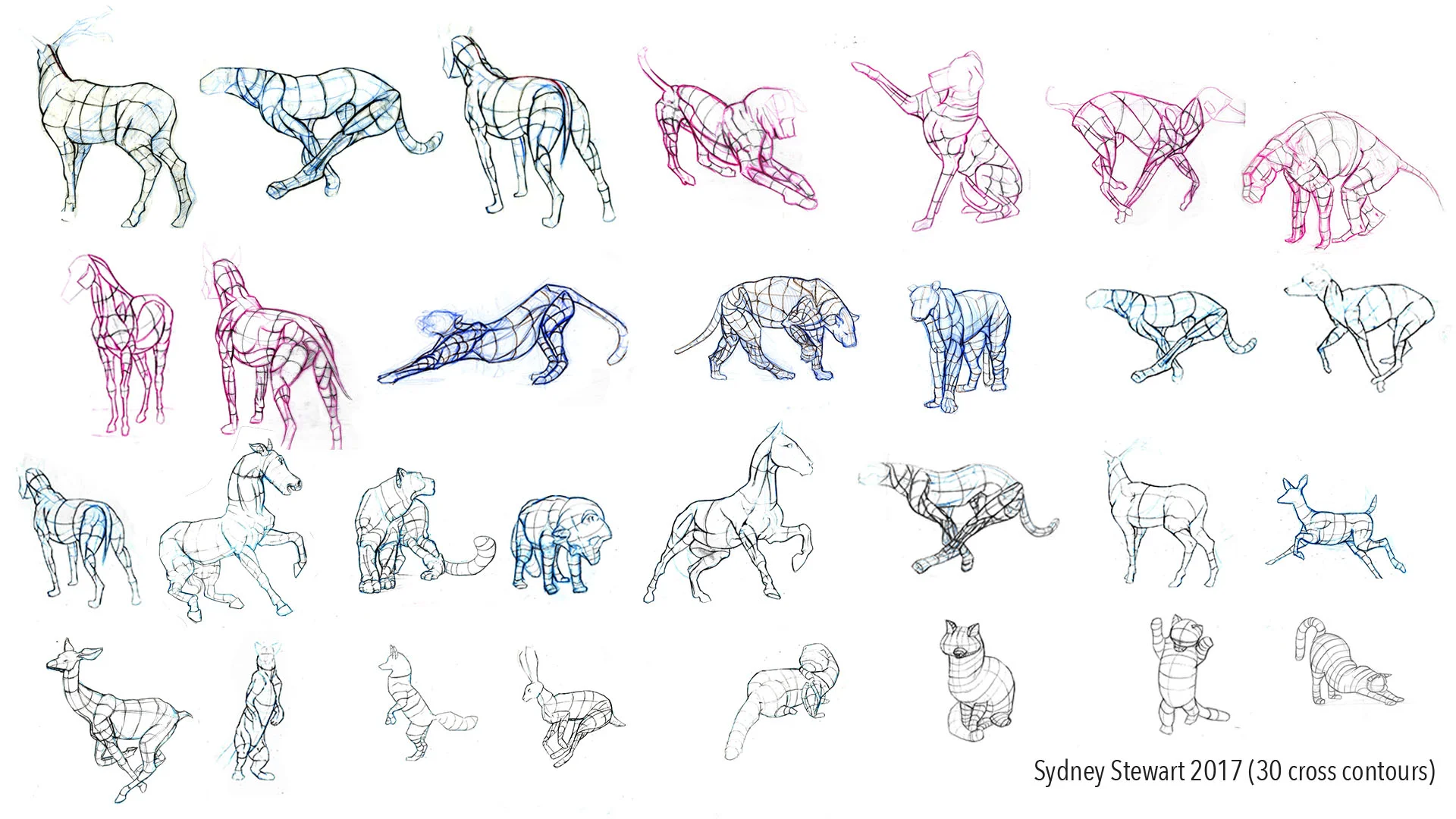 18. SydneyStewart_finalcontours.jpg