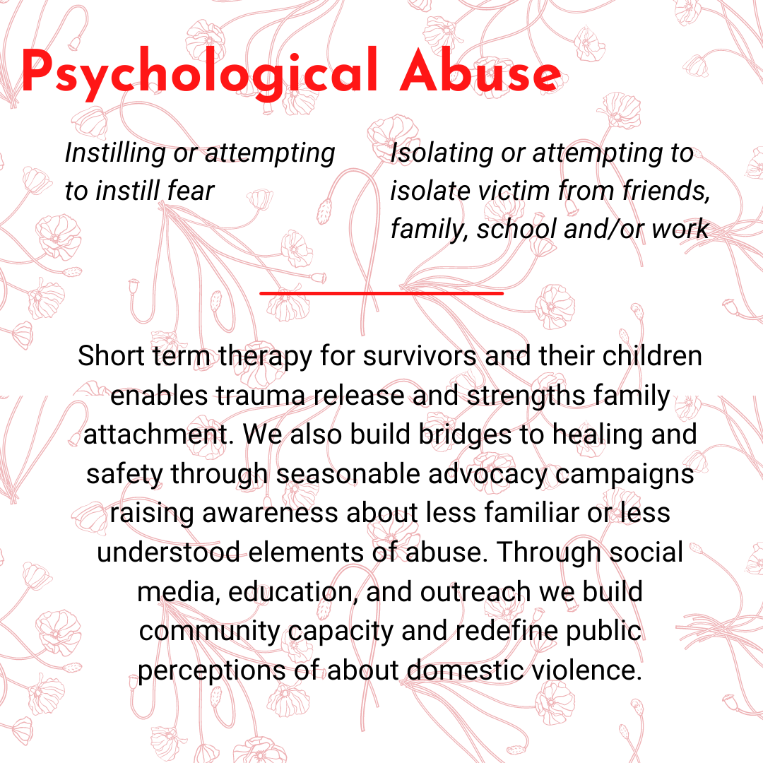 The Power and Control Wheel — La Casa de las Madres