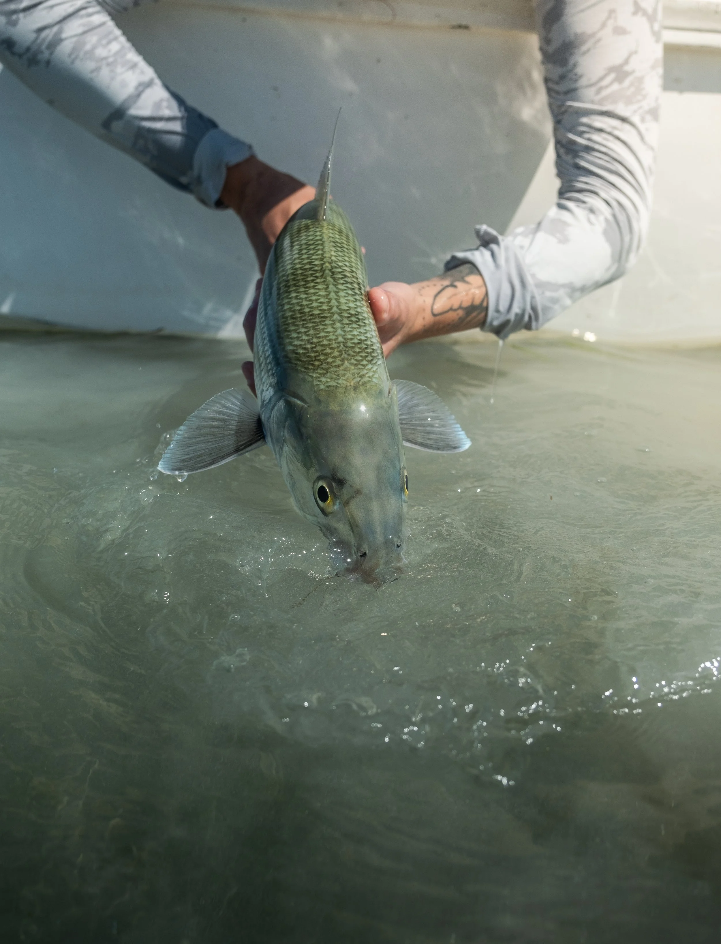 Bonefish duck key_.jpg