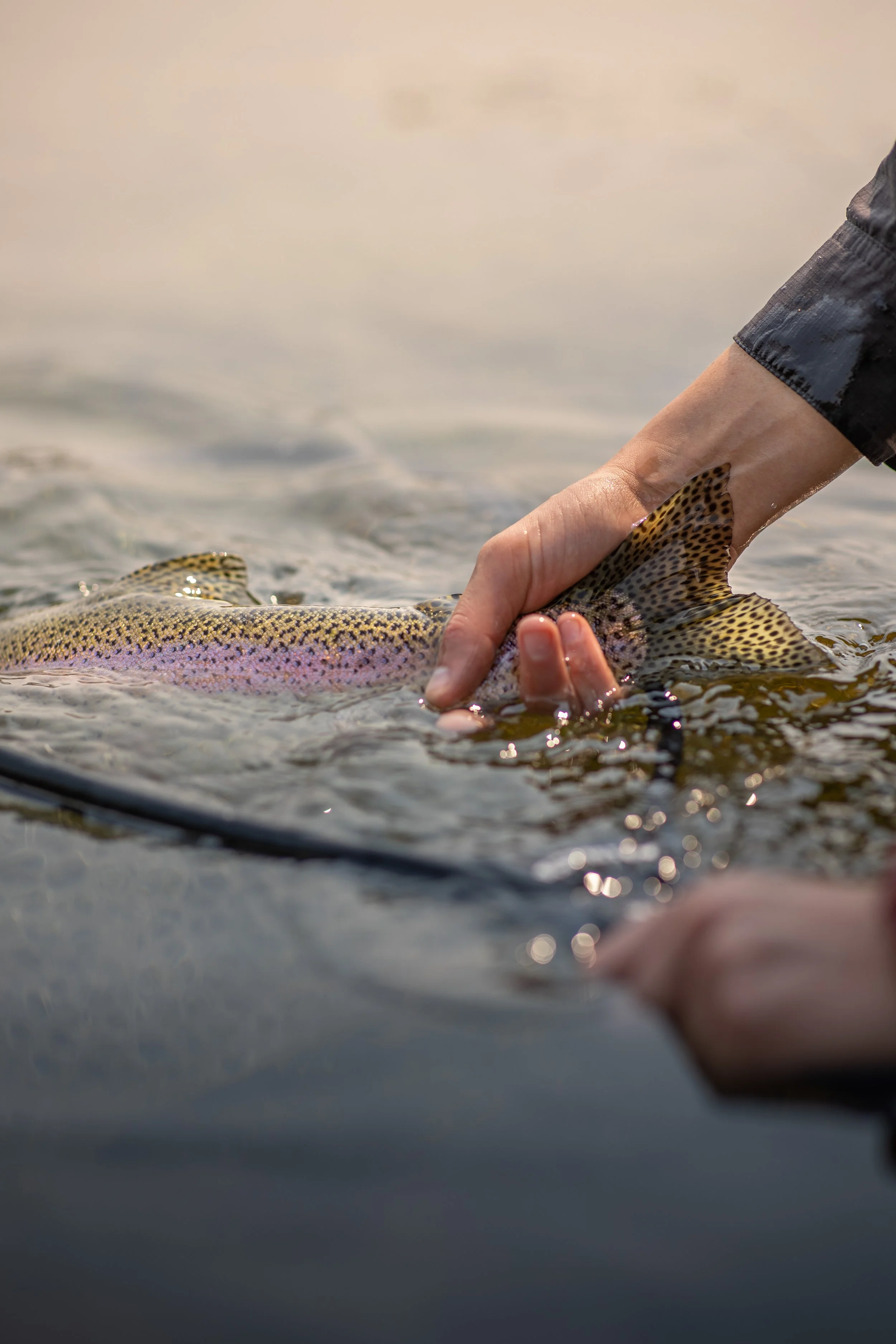 Idle hands rainbow 2.jpg