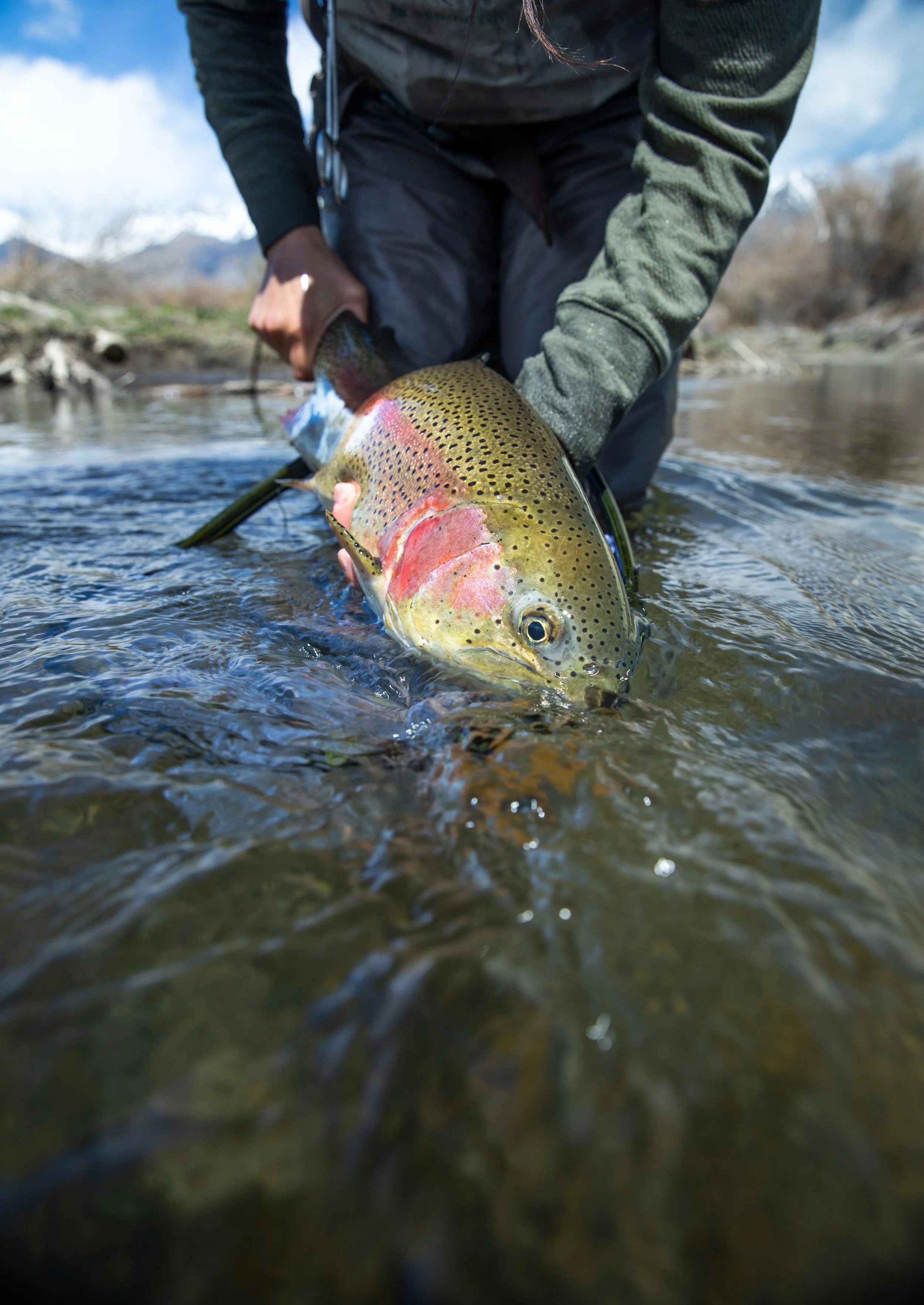 Large Rainbow on Lost.jpg
