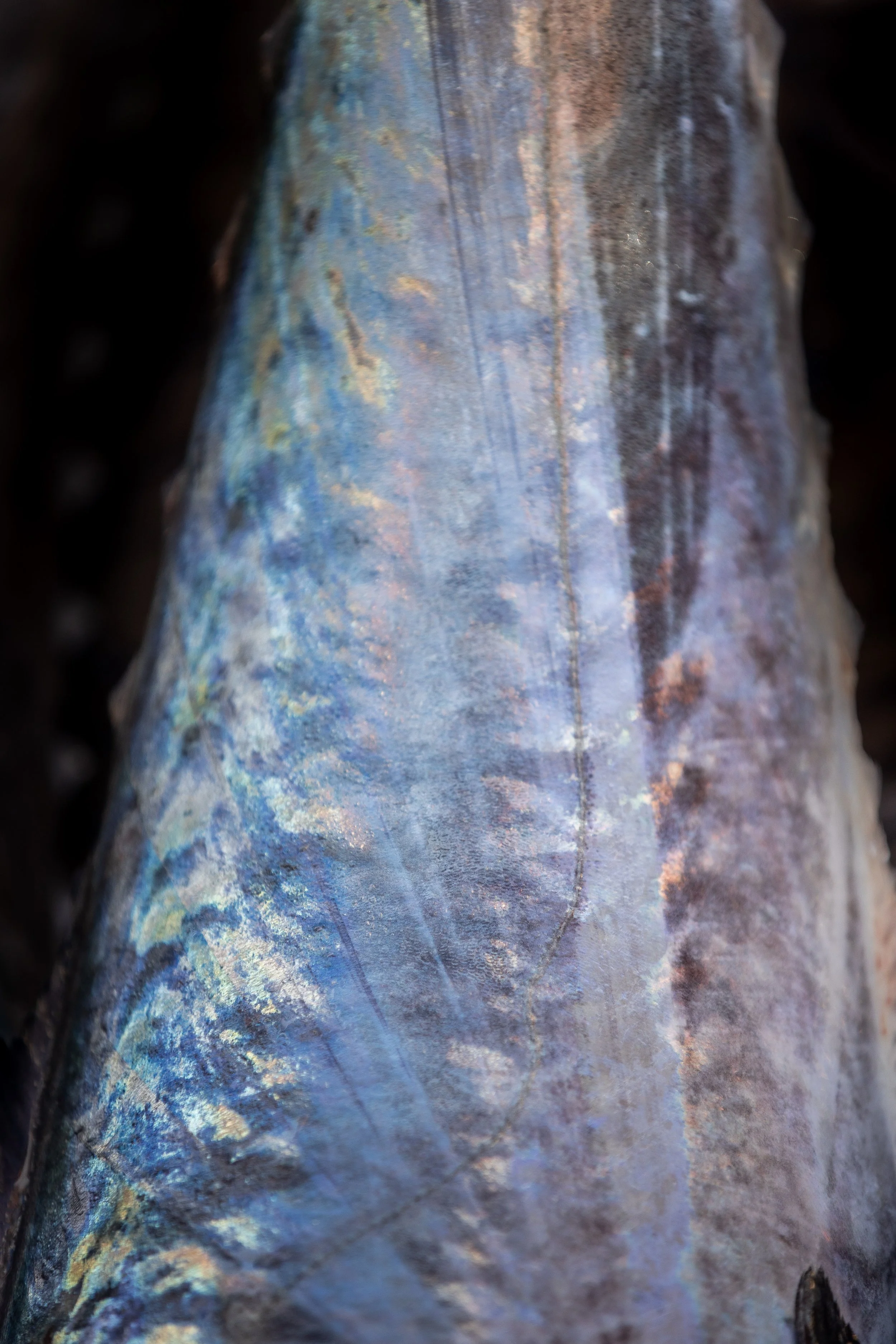 Meat Mayhem Key West-Edited_-134.jpg