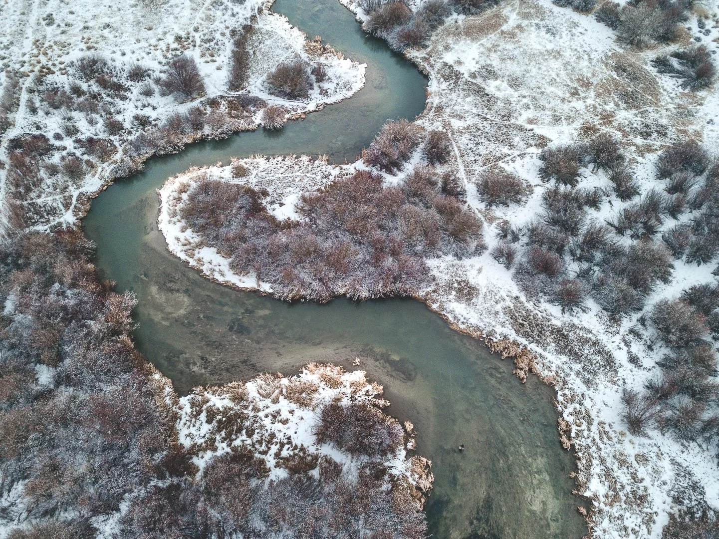 Silvercreek Drone.jpg