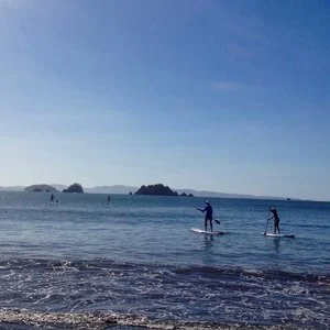 sup-rental-santa-catalina.jpg