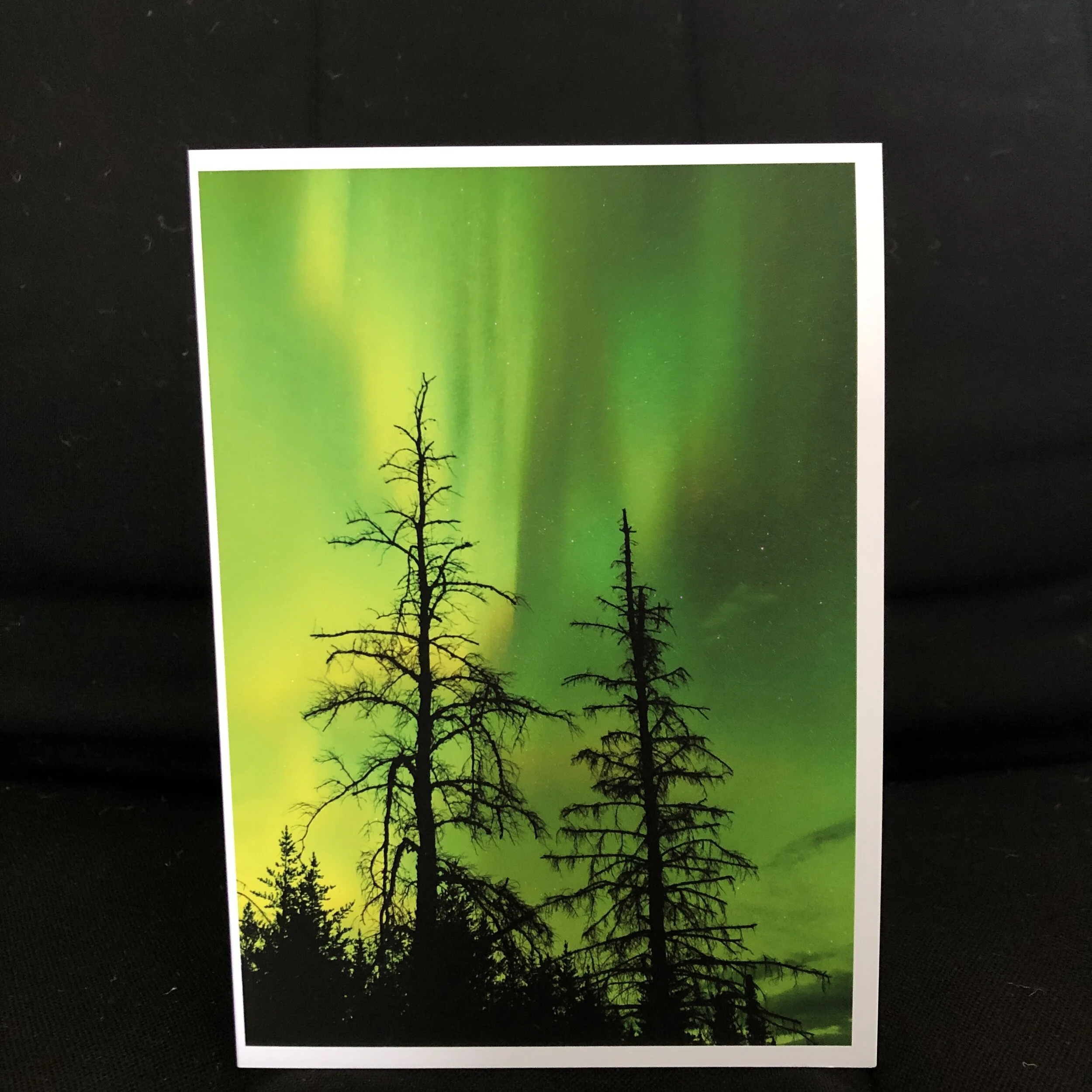 Skies of Green.JPG