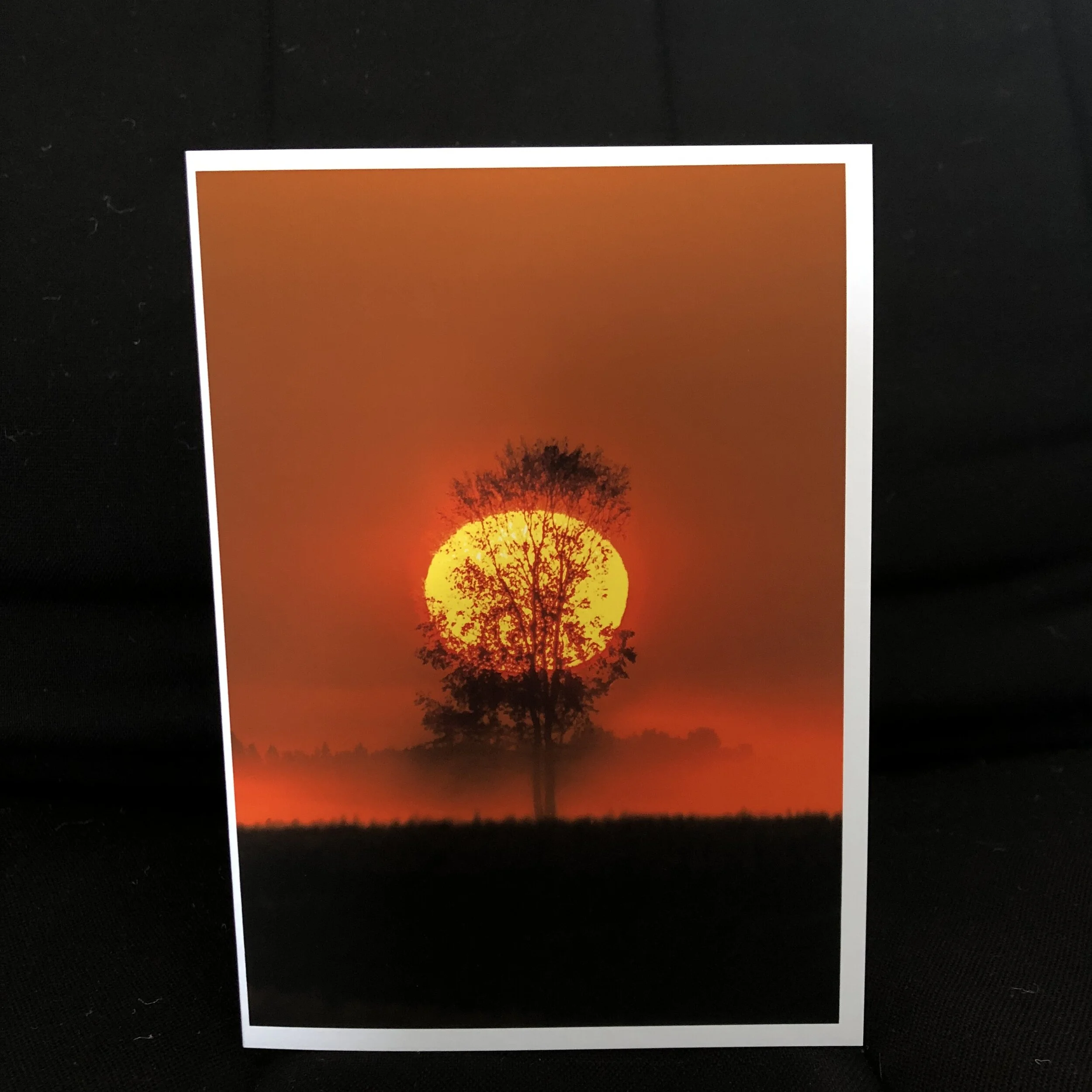 Slate River Valley Sun.JPG