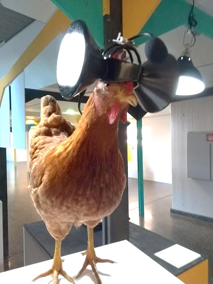 Food Revolution 5.0 