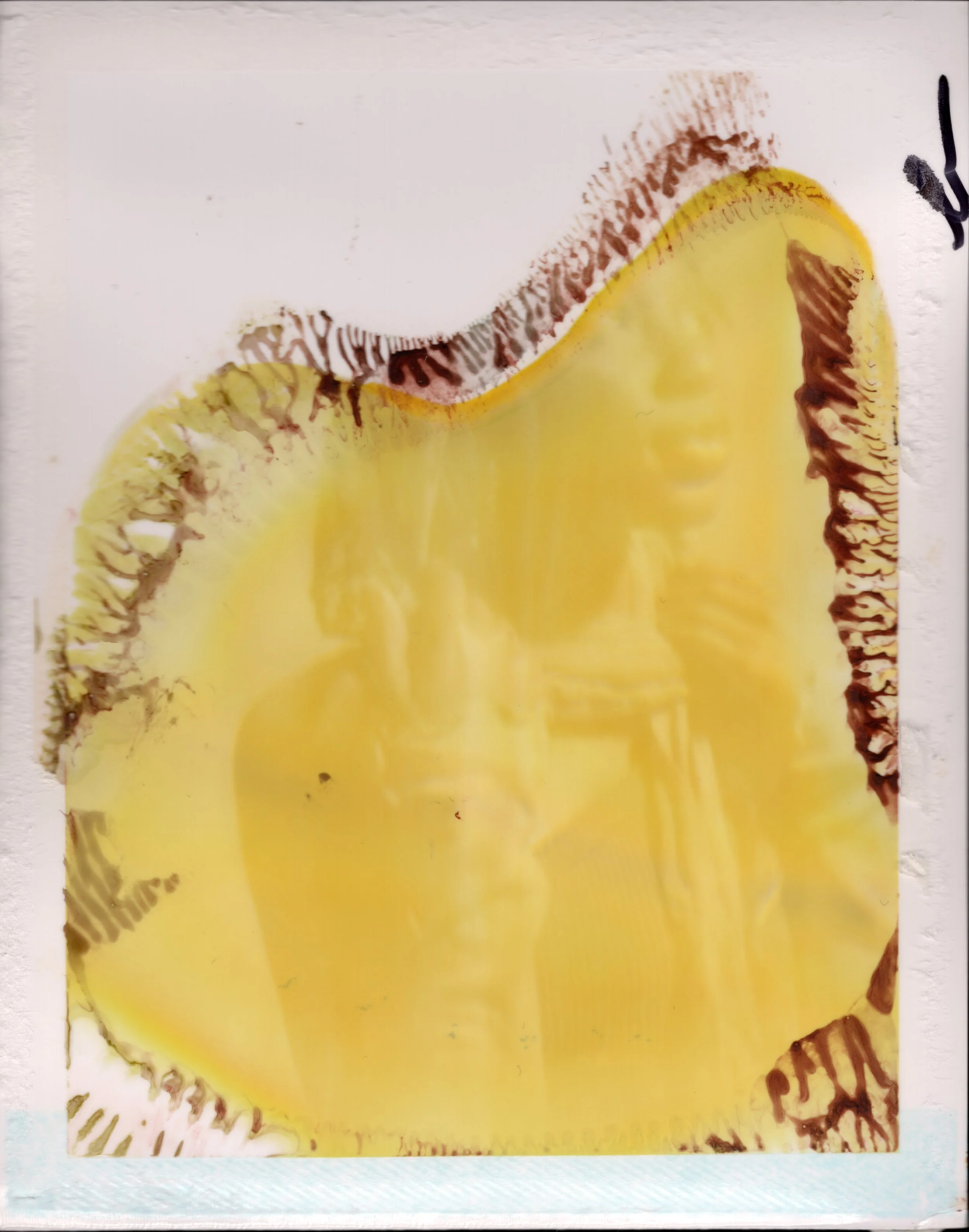 Scan 77.jpeg