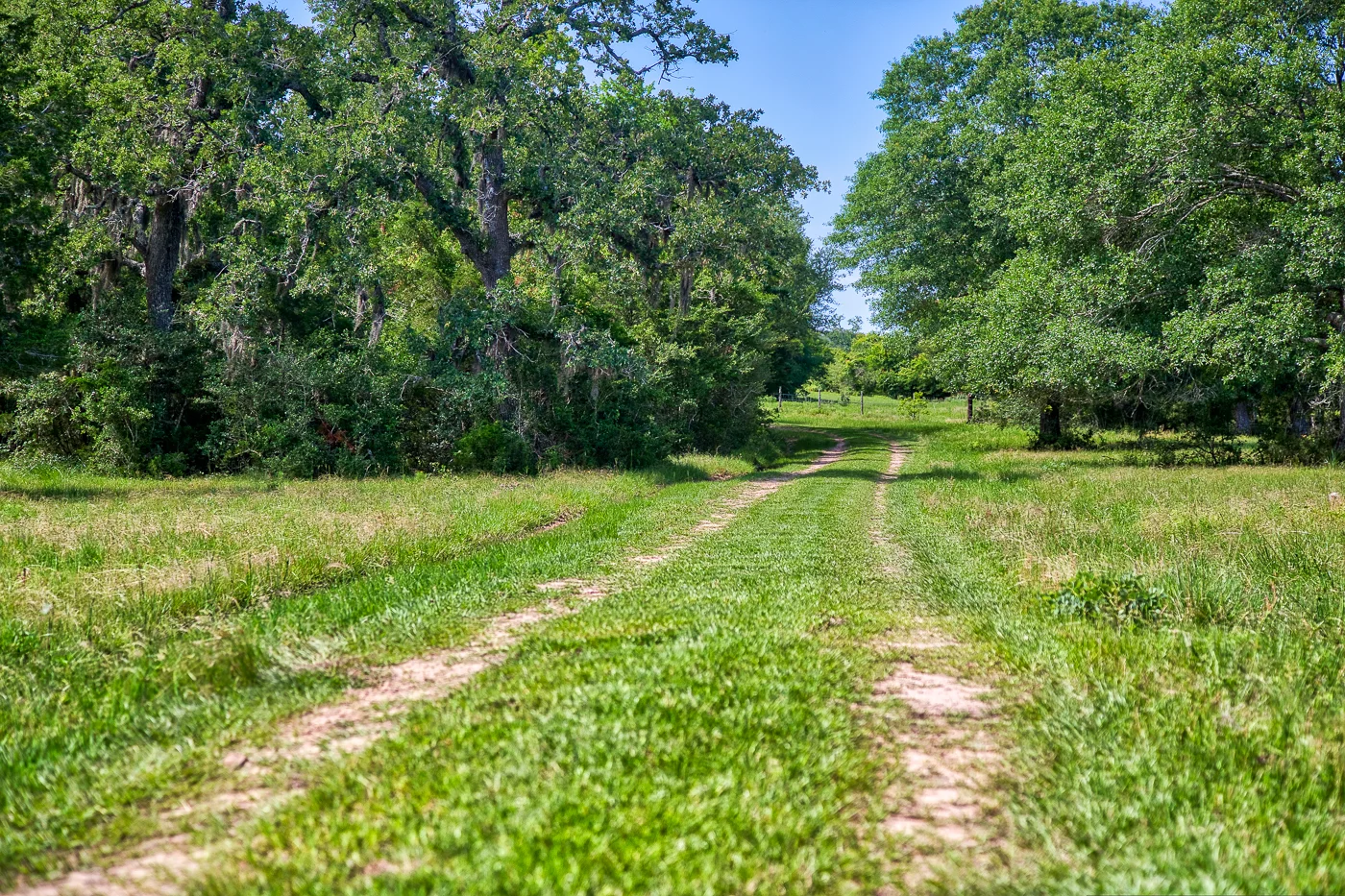 Bevers-MattMontgomery-17472KoeppensTrail-CatSpring__D3_4555.jpg