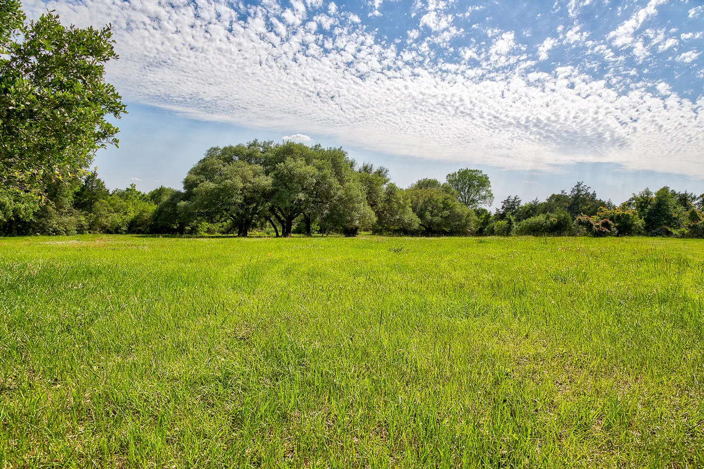 Bevers-MattMontgomery-17472KoeppensTrail-CatSpring__D3_4561.jpg