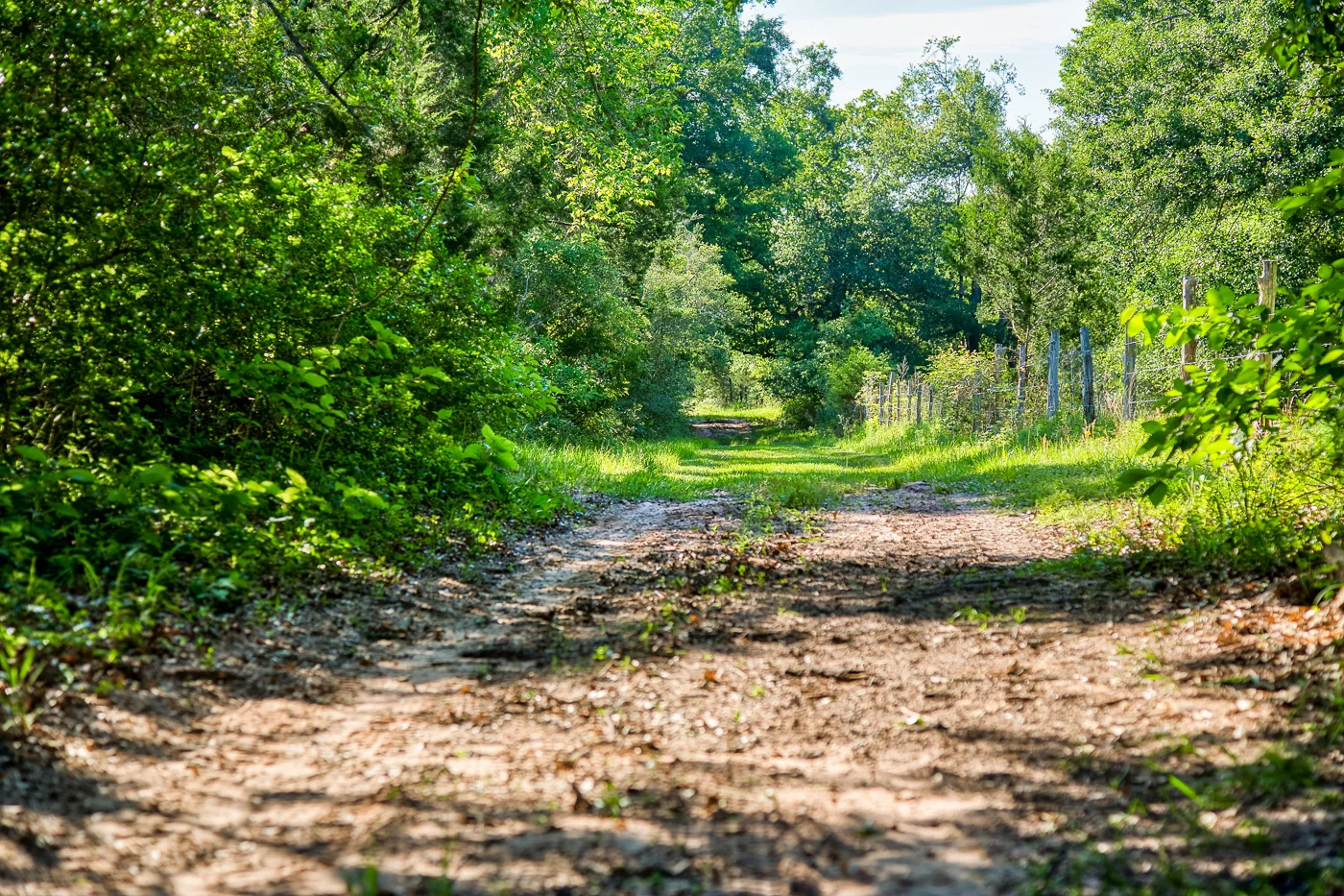 Bevers-MattMontgomery-17472KoeppensTrail-CatSpring__D3_4684.jpg