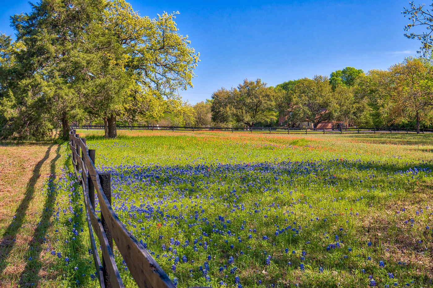 BrazosRanchGroup-5750HillsideLn_IMG_7402EXT-Pasture.jpg
