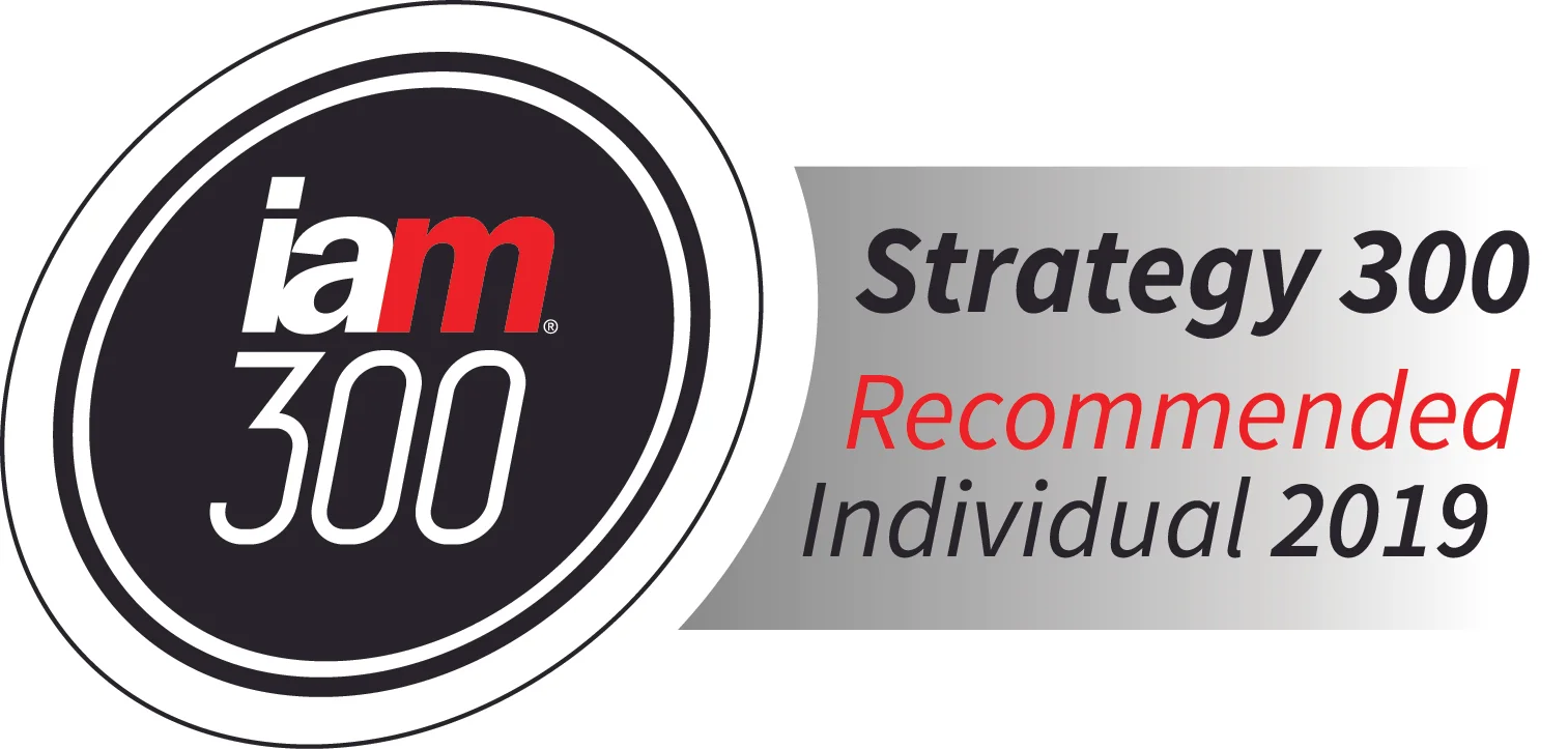 IAM Strategy 300 recommended individual 2019.jpg