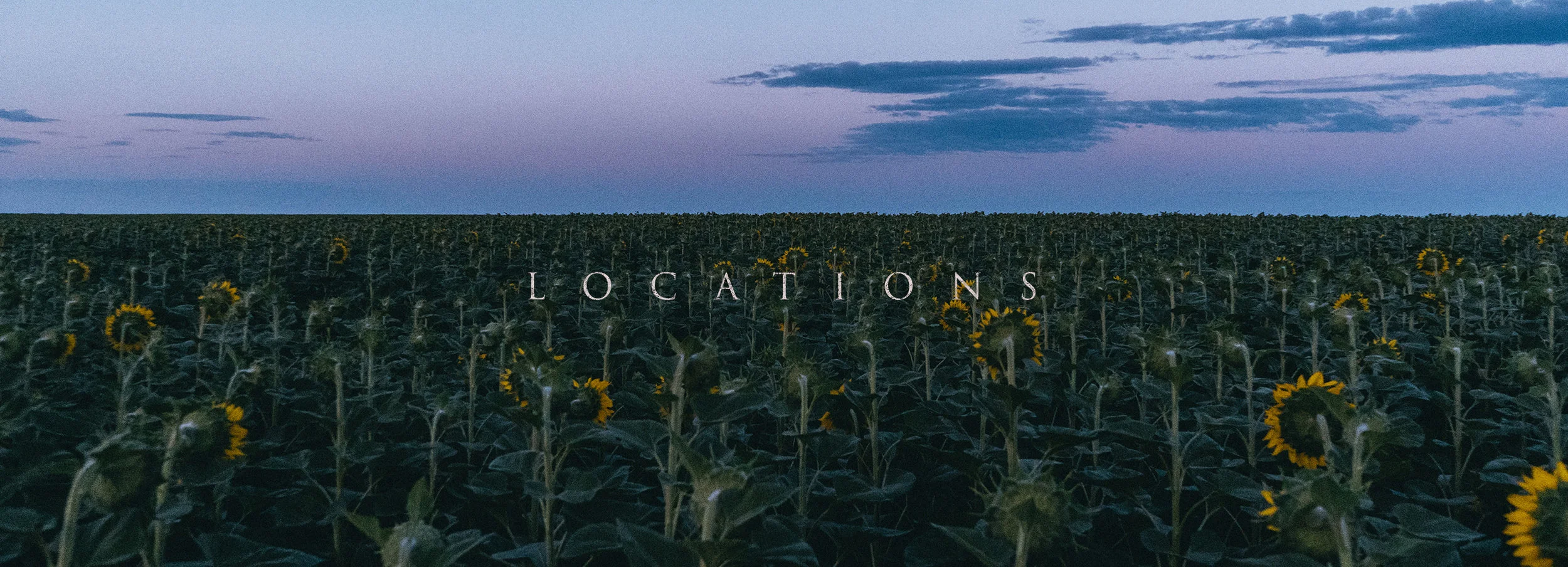  Remember the movie “Interstellar“? Looks like colors in the morning on the field. 