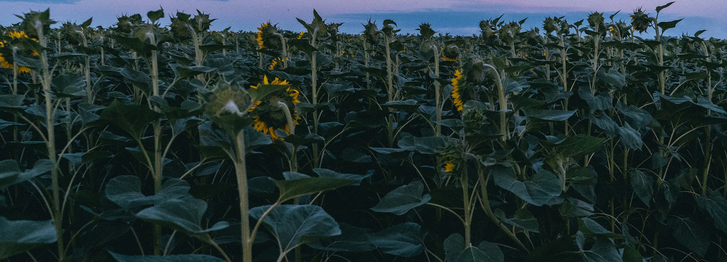  Other lighting and other mood of this scene. Light is an important tool. 