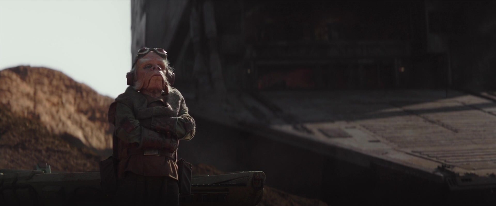  Some frames from the collection.  