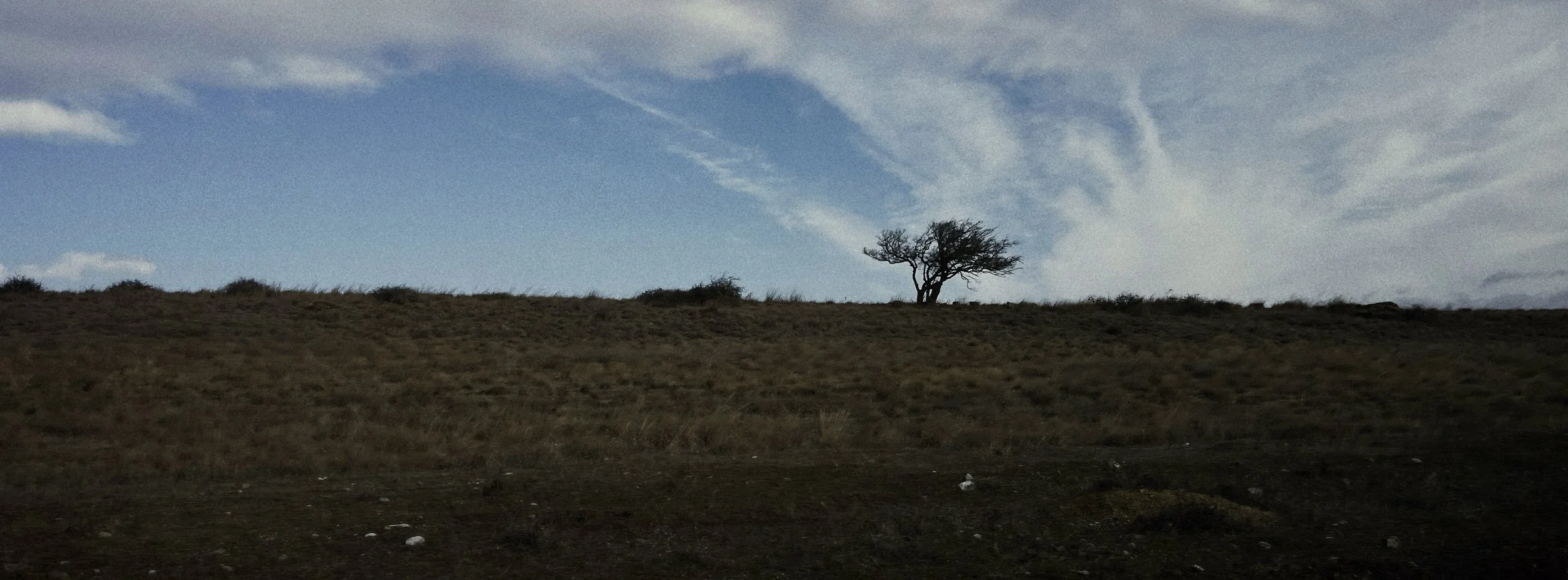  All footage was shot with an iPhone 12 Pro Max. 